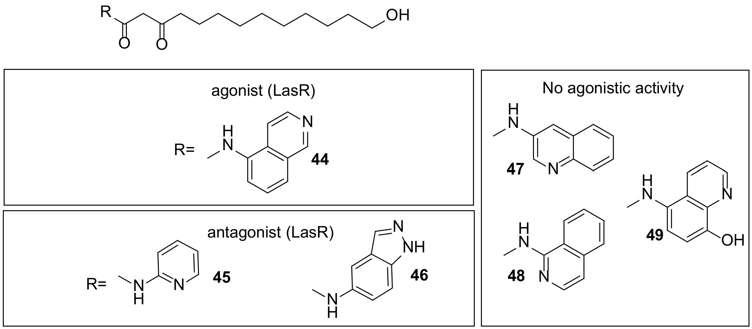 Molecules 26 05135 g008