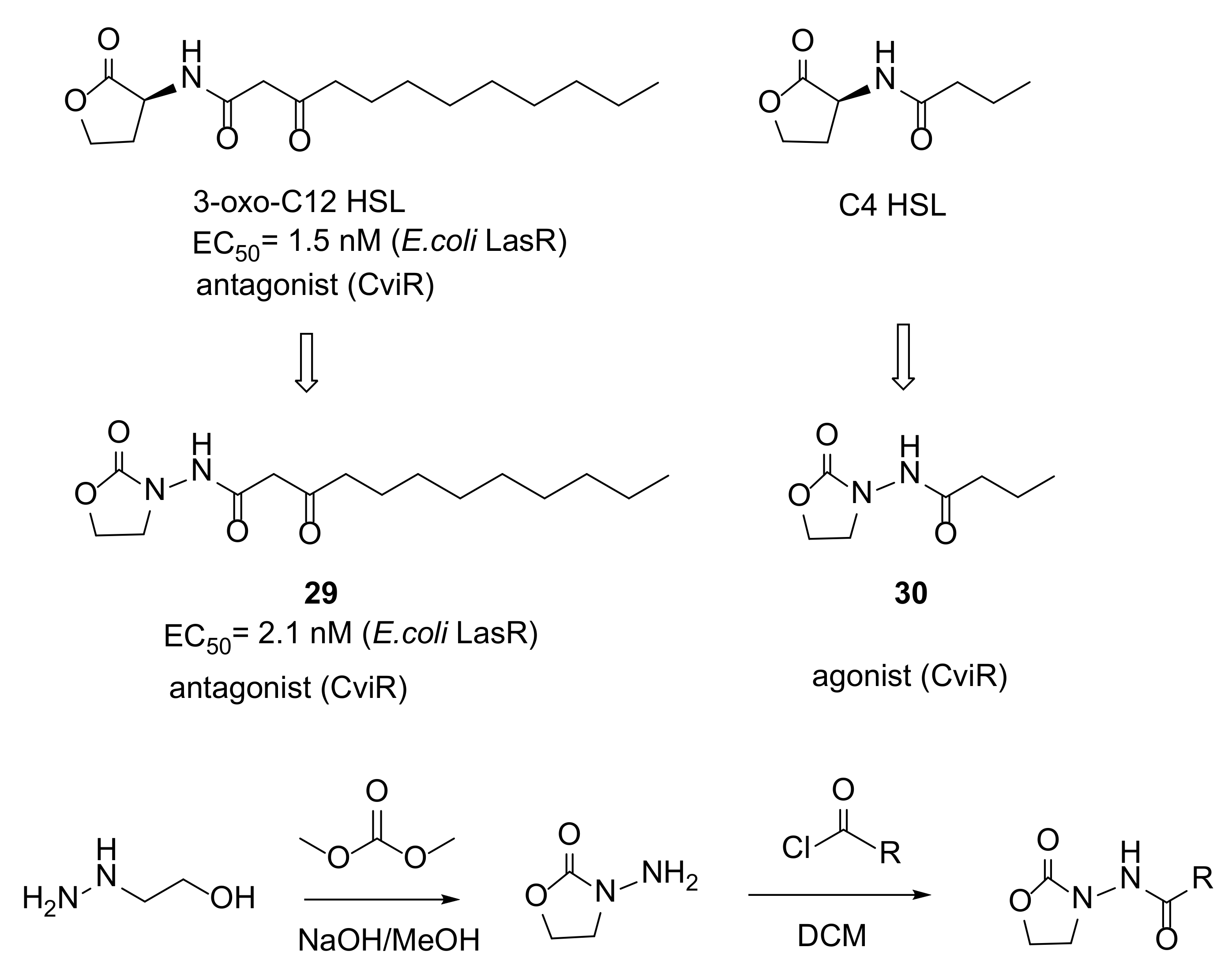 Molecules 26 05135 sch004