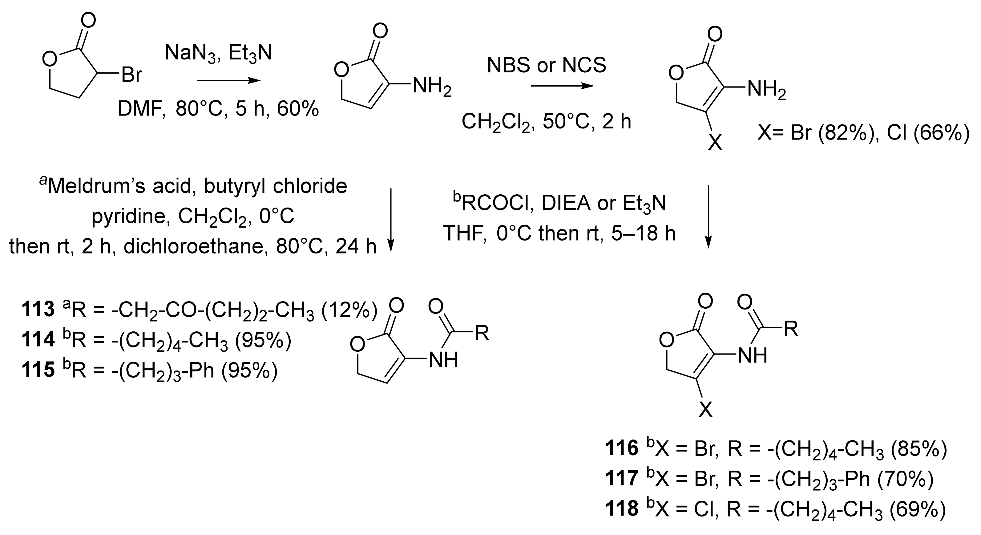 Molecules 26 05135 sch015