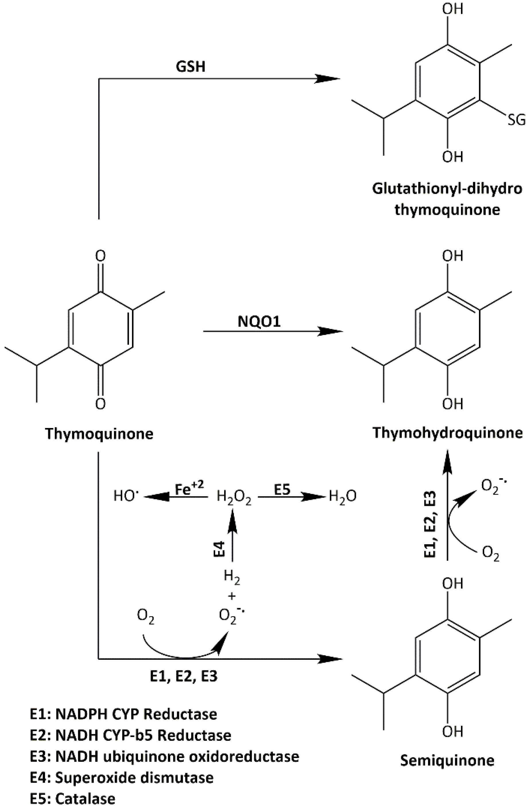 Molecules 26 05136 g013