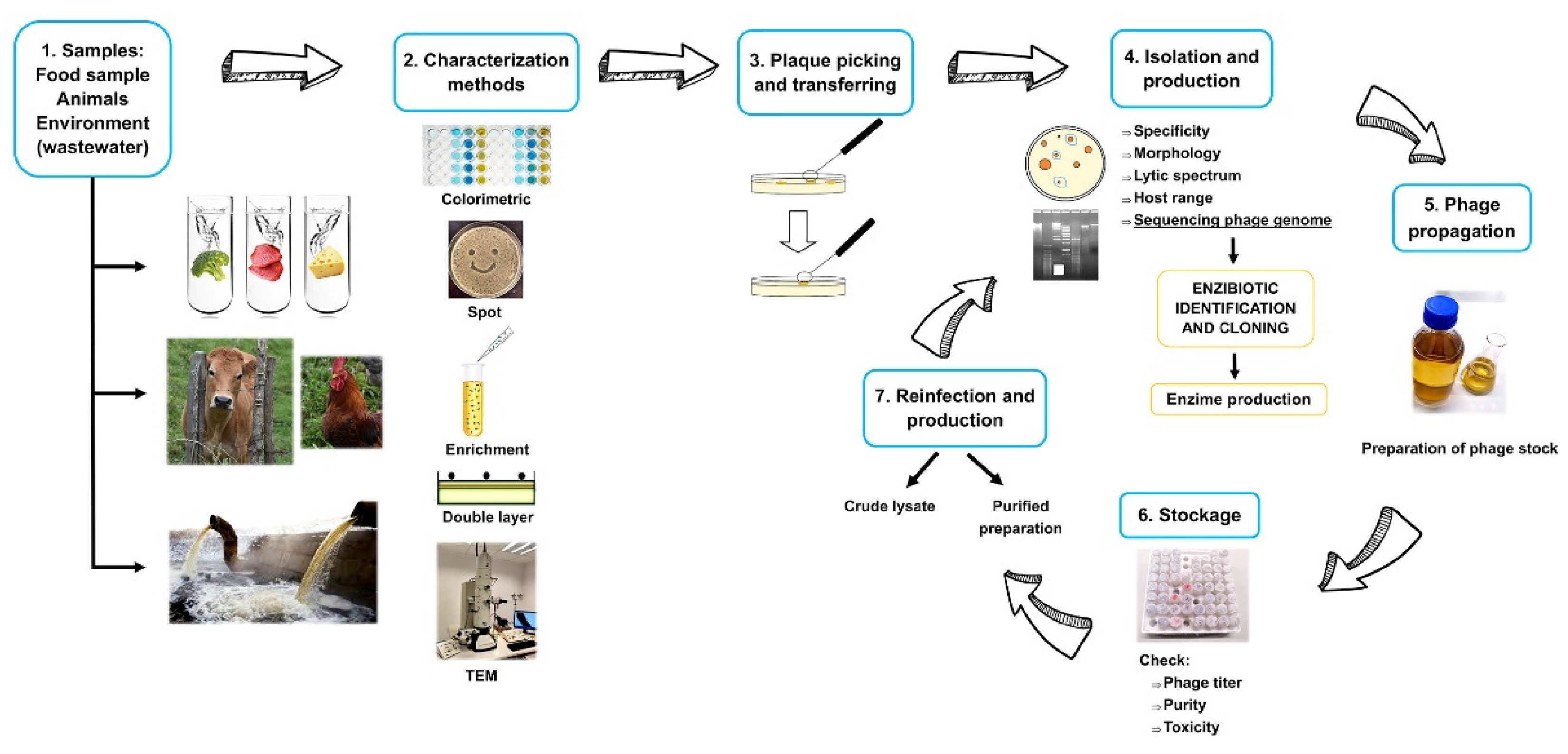 Molecules 26 05138 g001