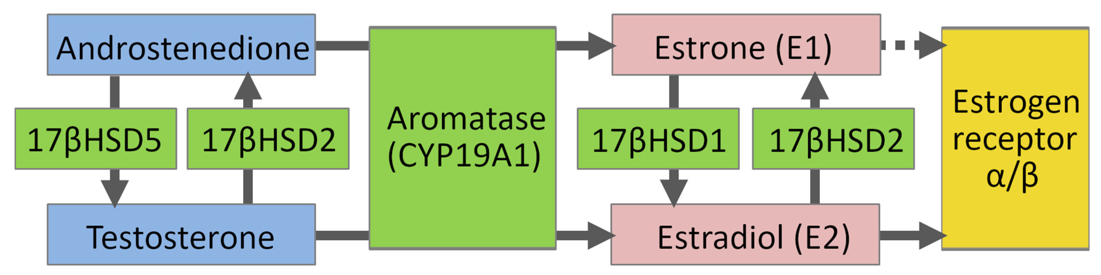 Molecules 26 05142 g002