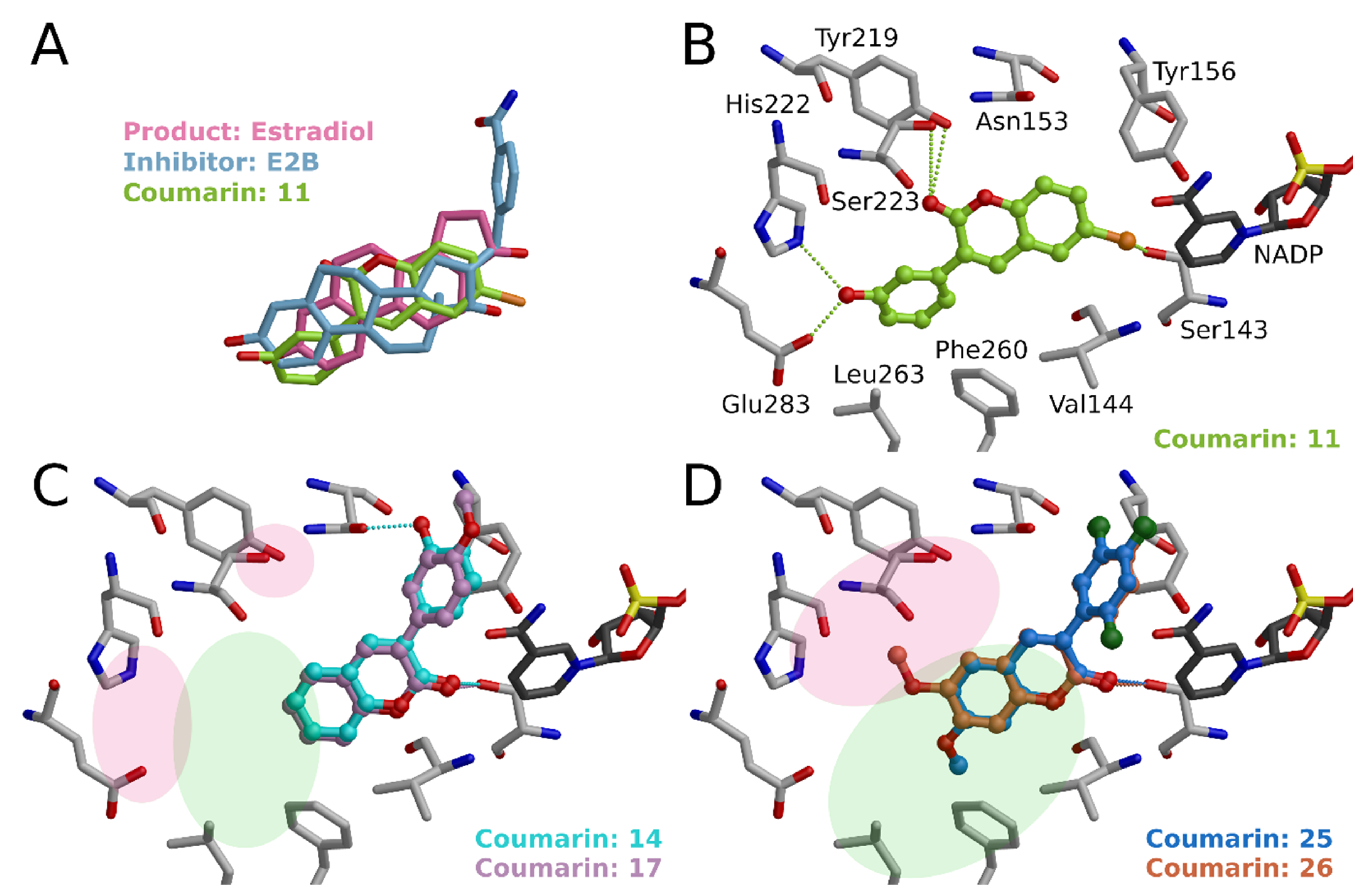 Molecules 26 05142 g007