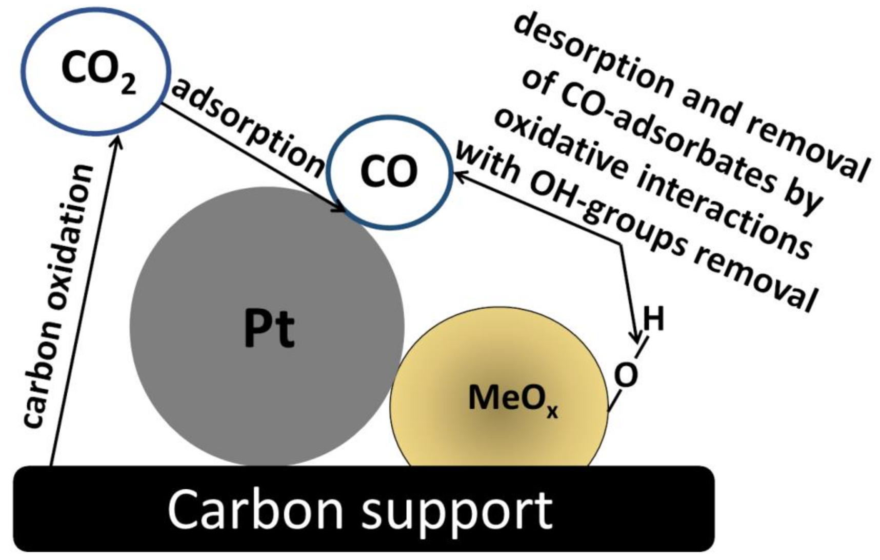 Molecules 26 05147 g005