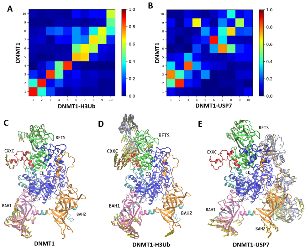 Molecules 26 05153 g003