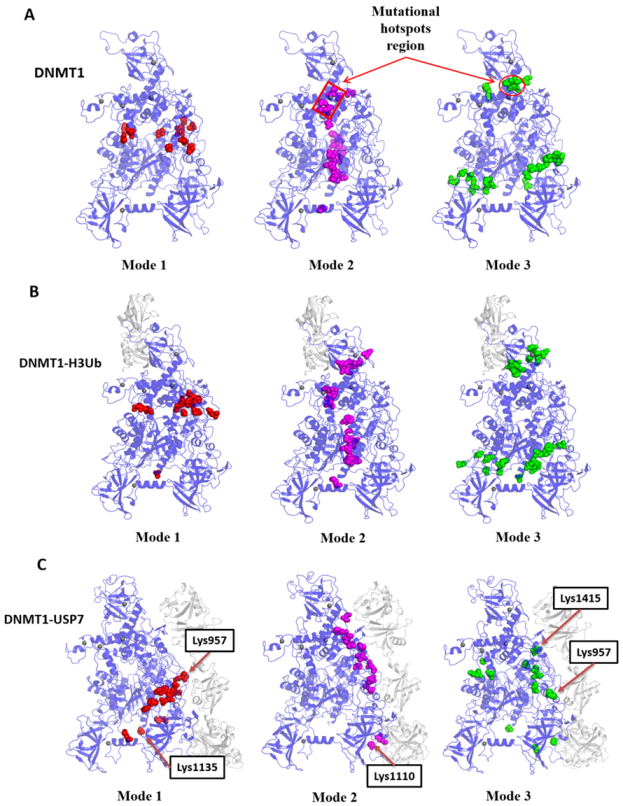 Molecules 26 05153 g004