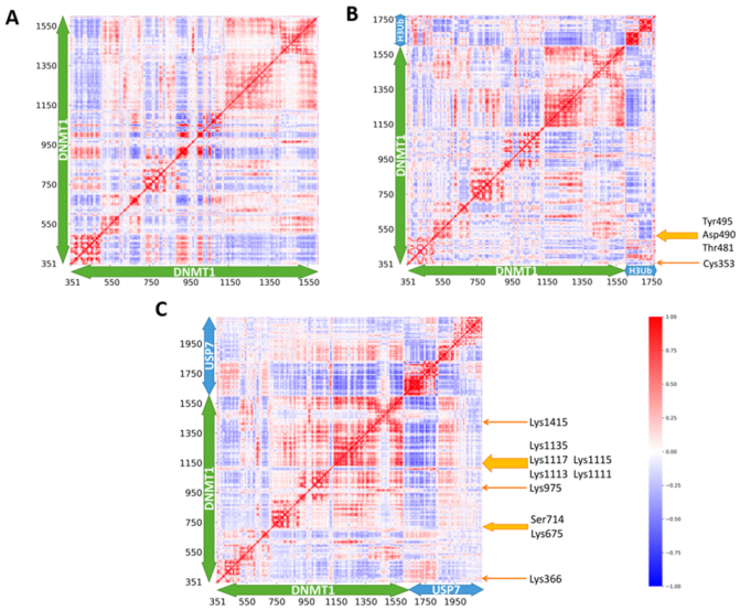 Molecules 26 05153 g006
