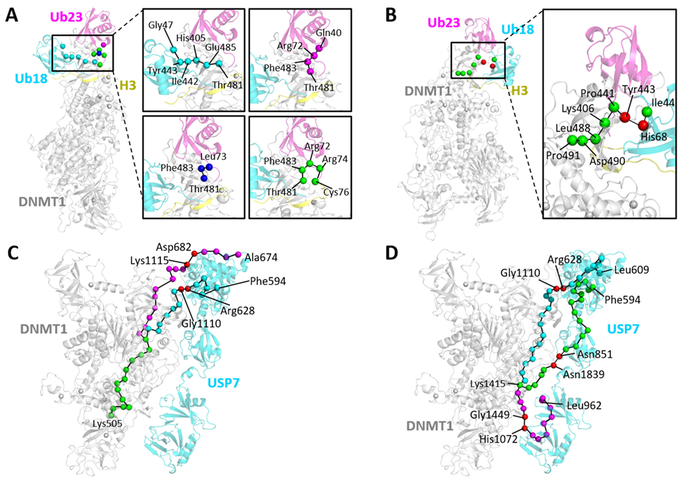 Molecules 26 05153 g009