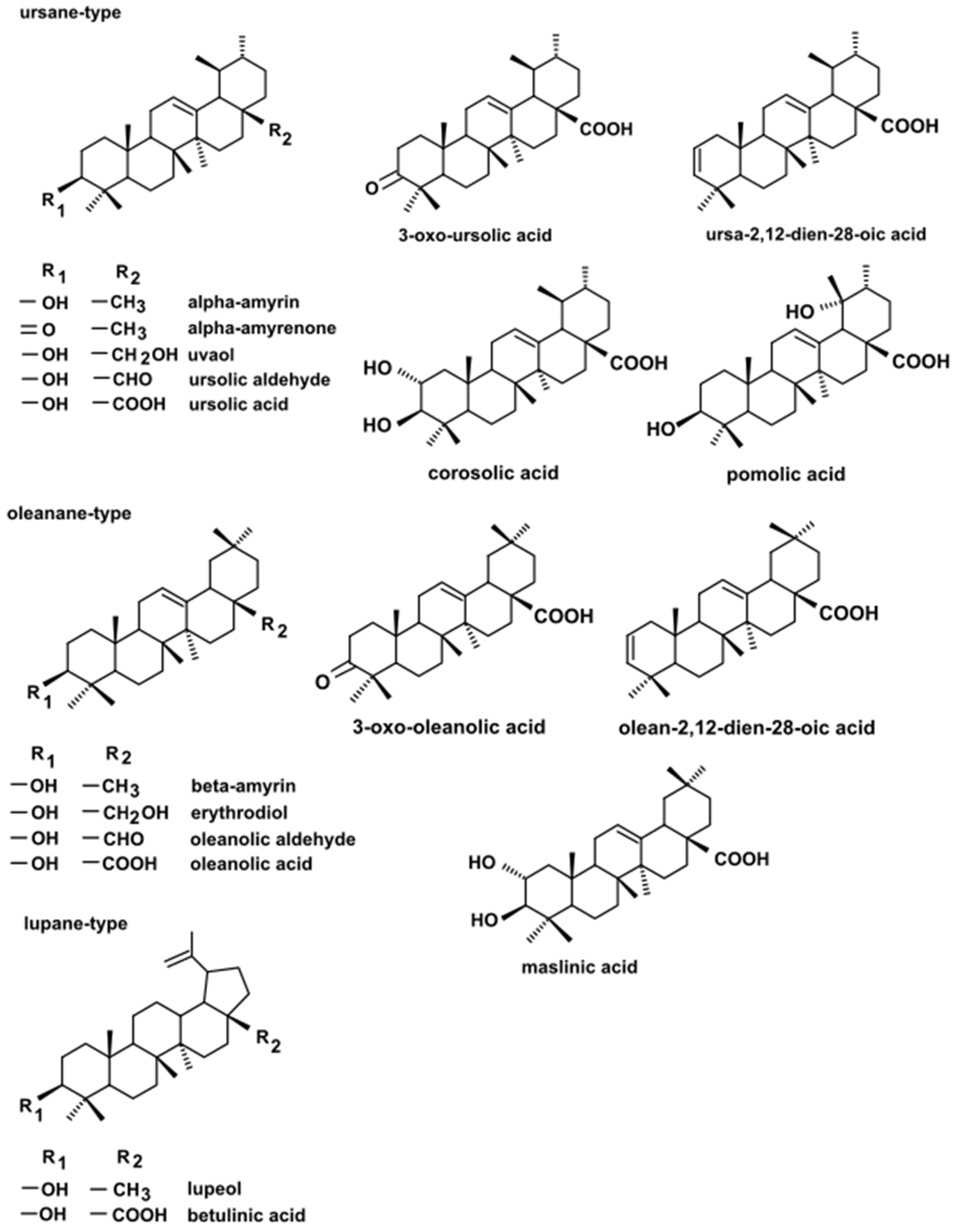 Molecules 26 05158 g002