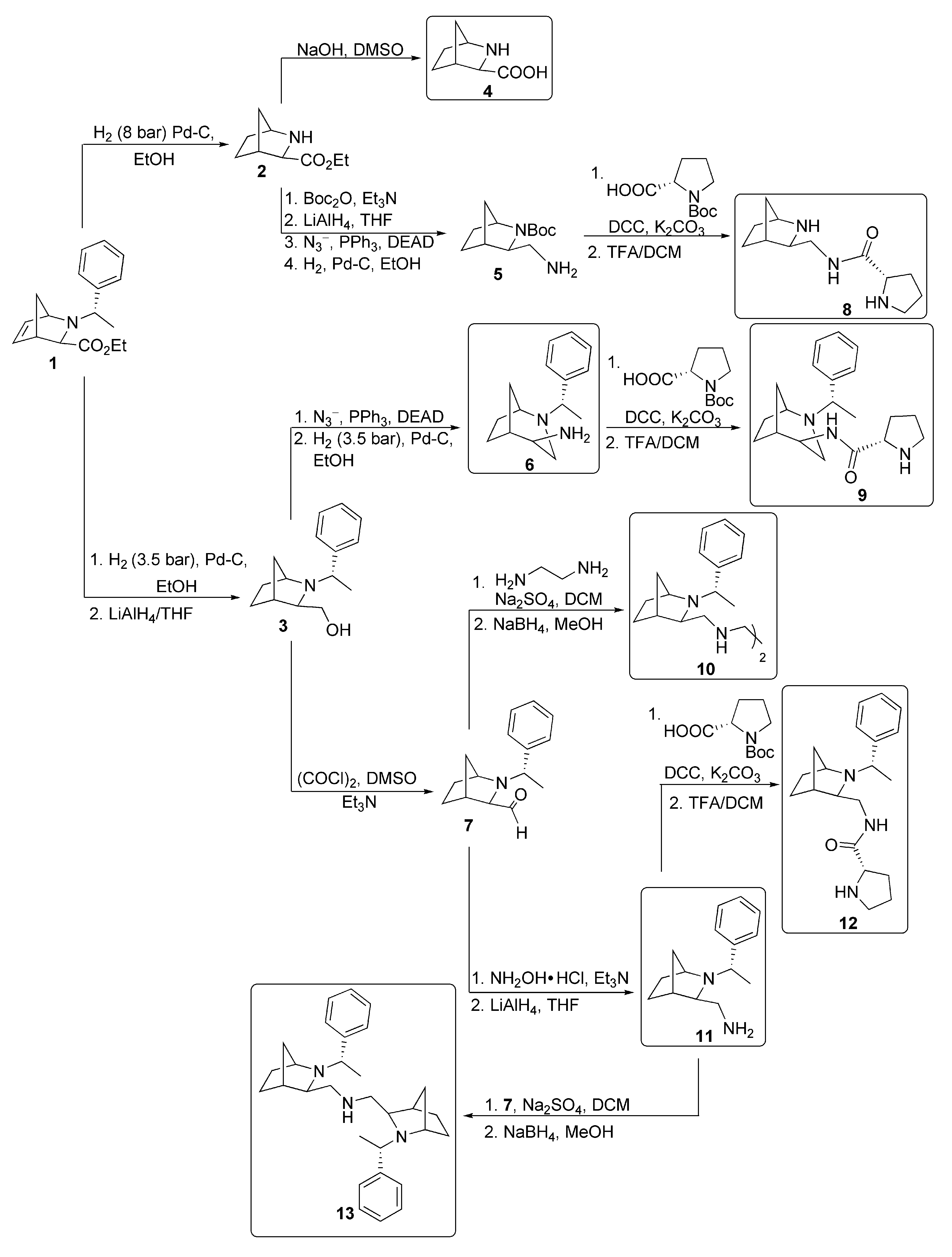 Molecules 26 05166 sch001