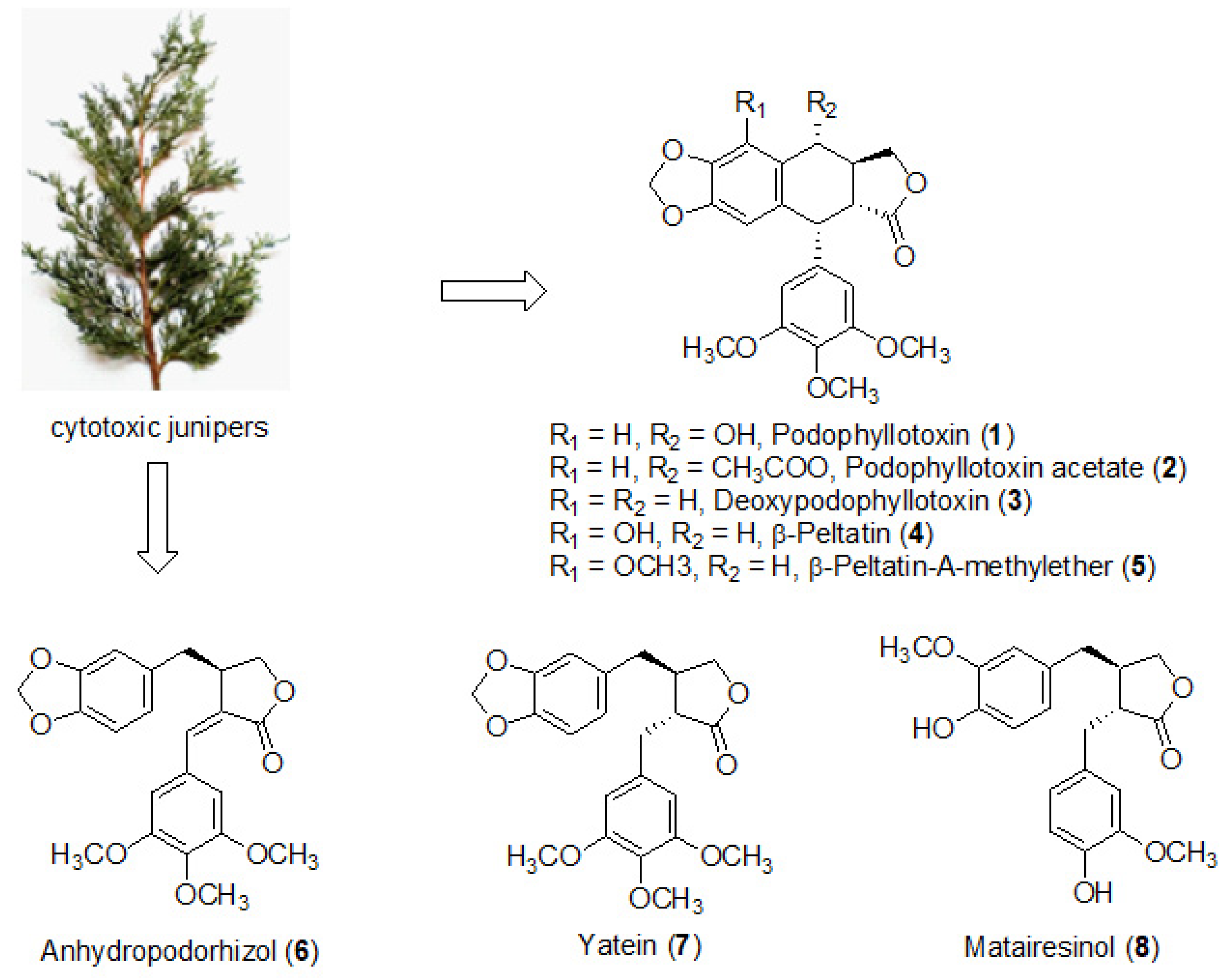 Molecules 26 05179 g001