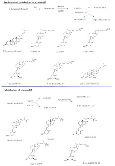 Molecules 26 05182 g001