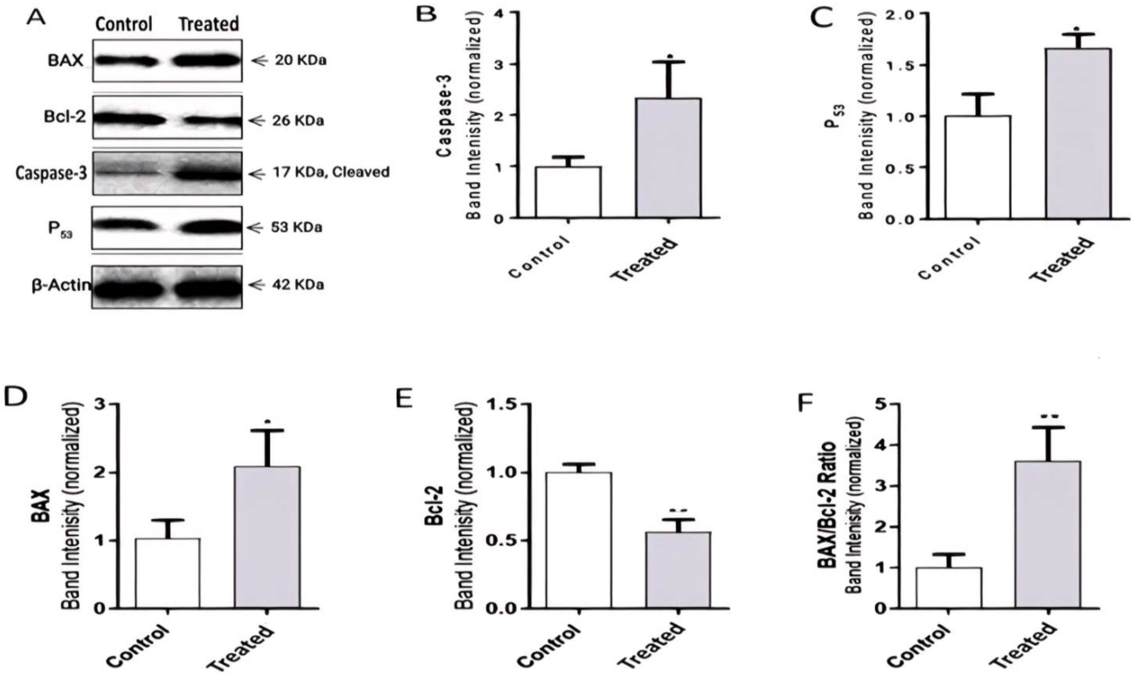 Molecules 26 05185 g005