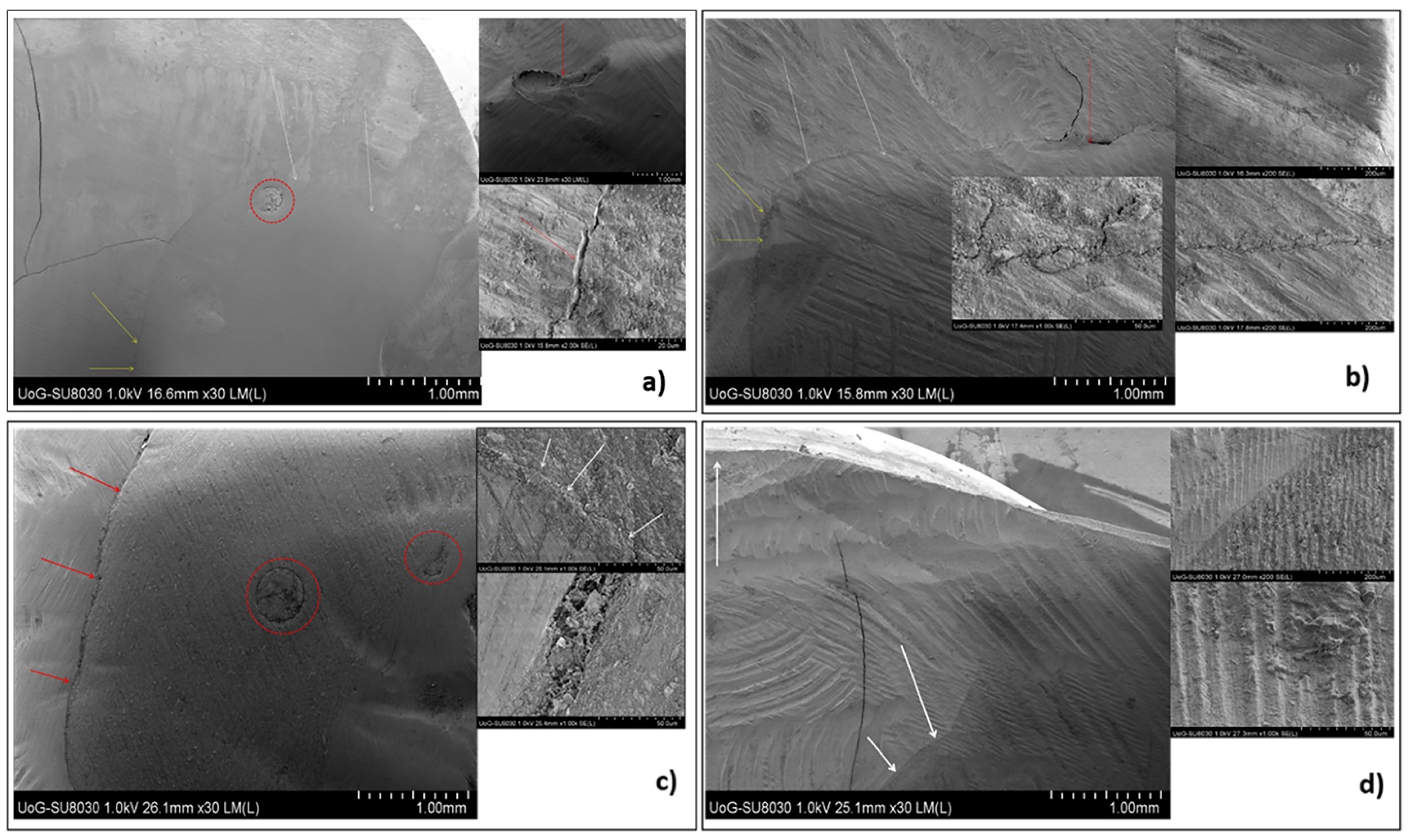 Molecules 26 05202 g003