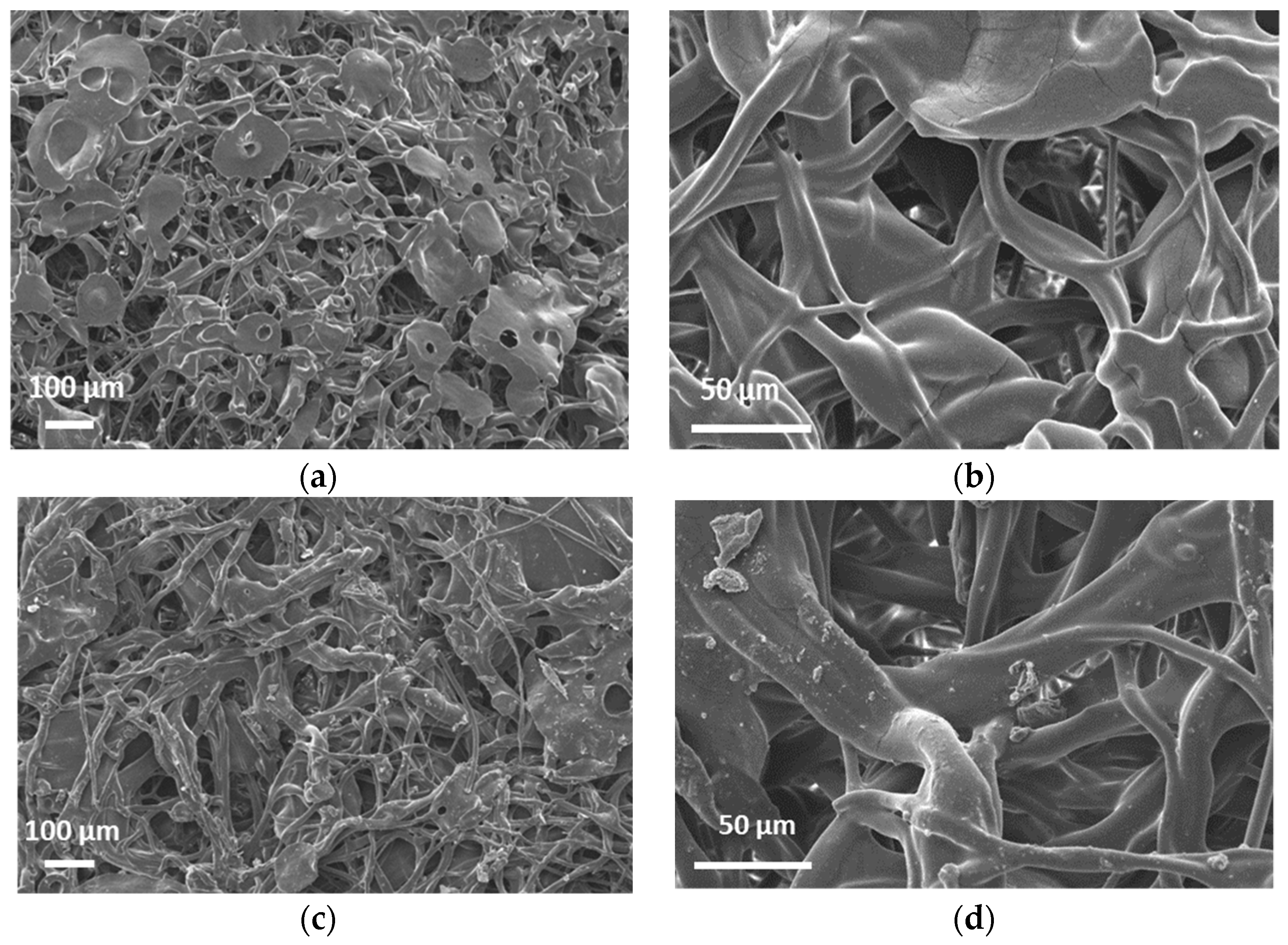 Molecules 26 05207 g002