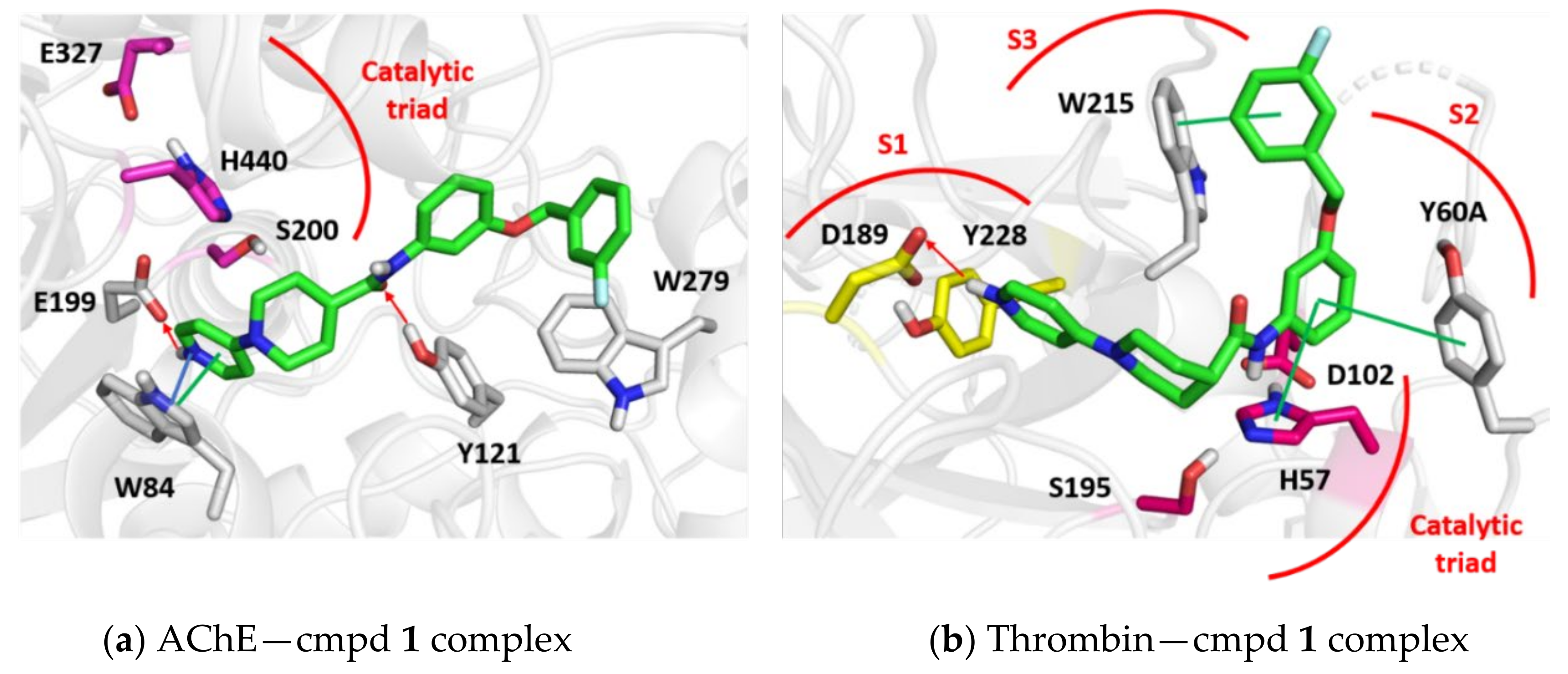 Molecules 26 05208 g002