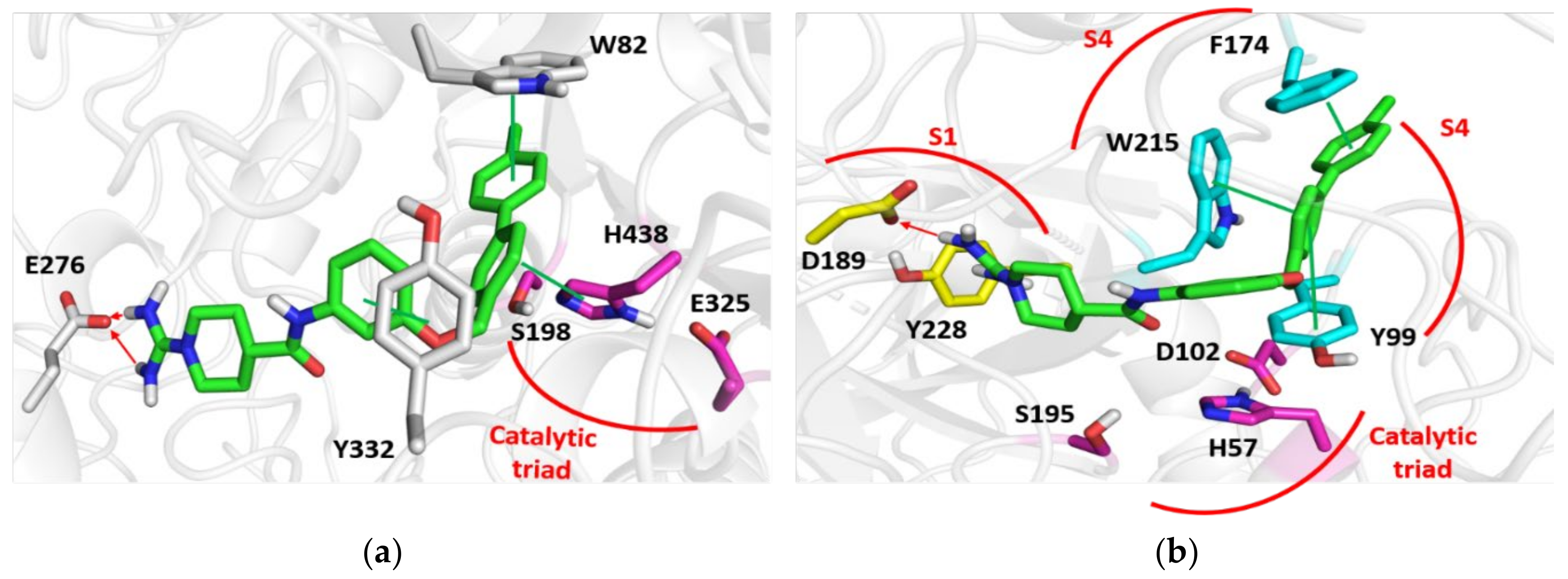 Molecules 26 05208 g004