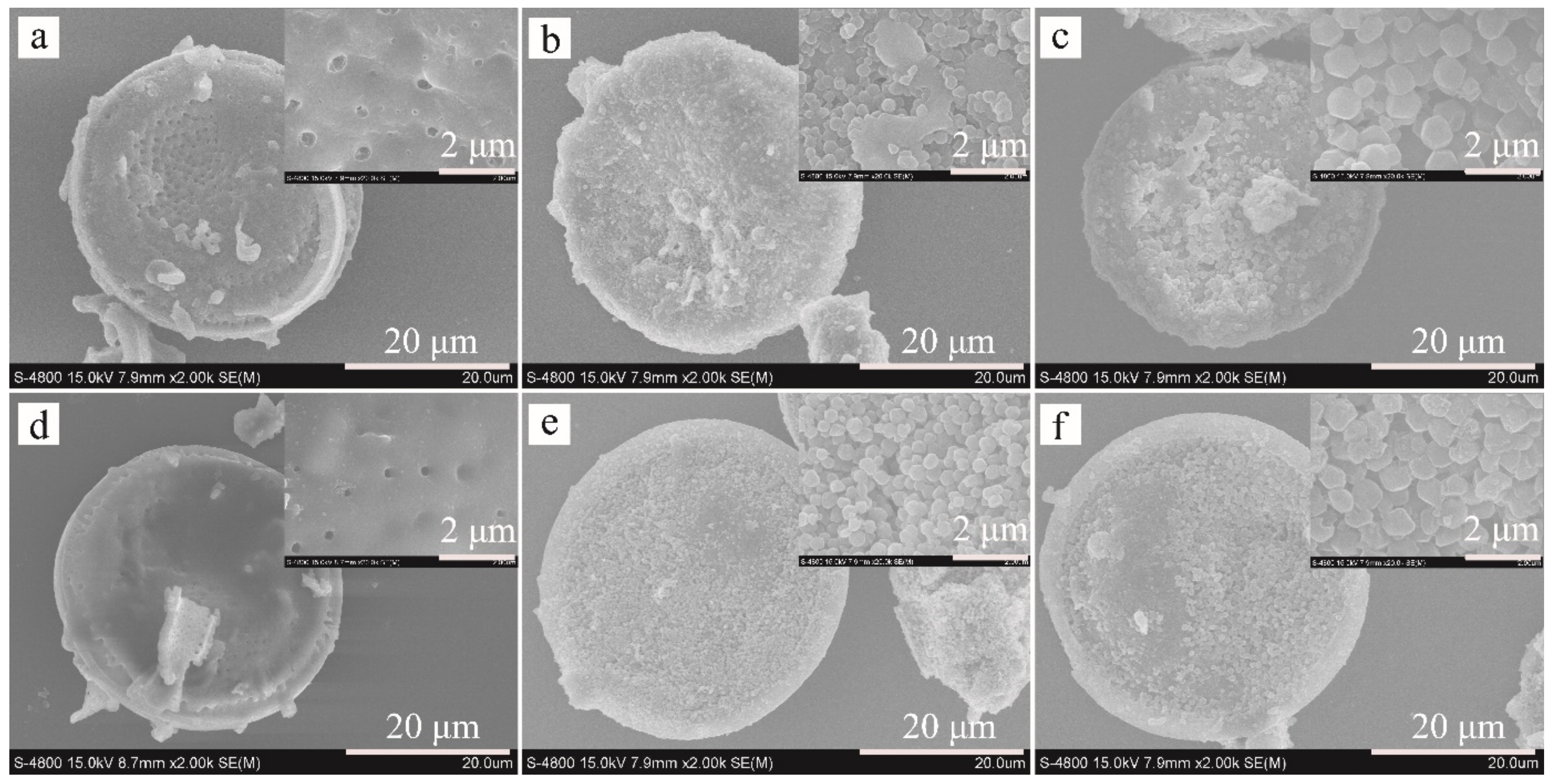 Molecules 26 05209 g002 Molecules 26 05209 g002