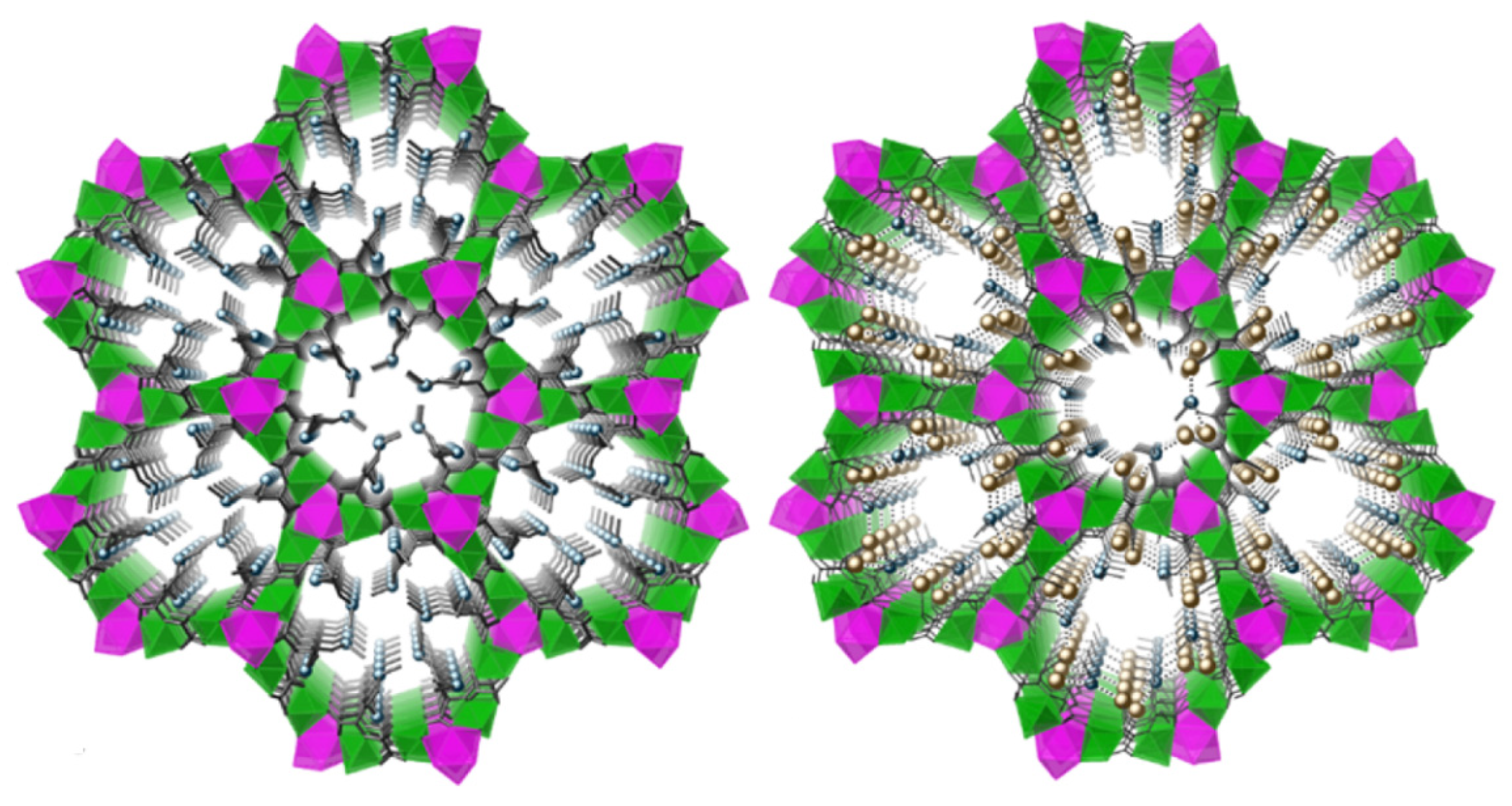 Molecules 26 05217 g004 Molecules 26 05217 g004