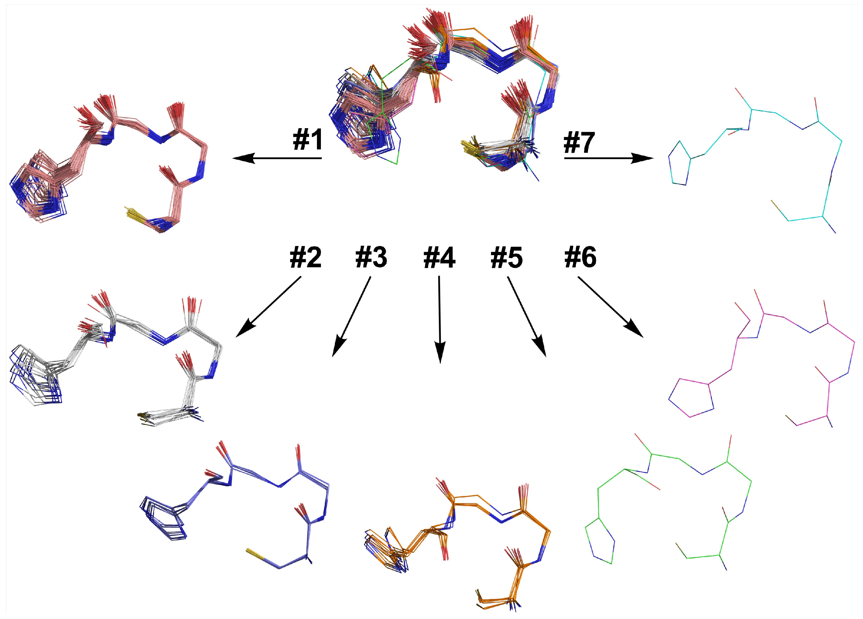 Molecules 26 05221 g007