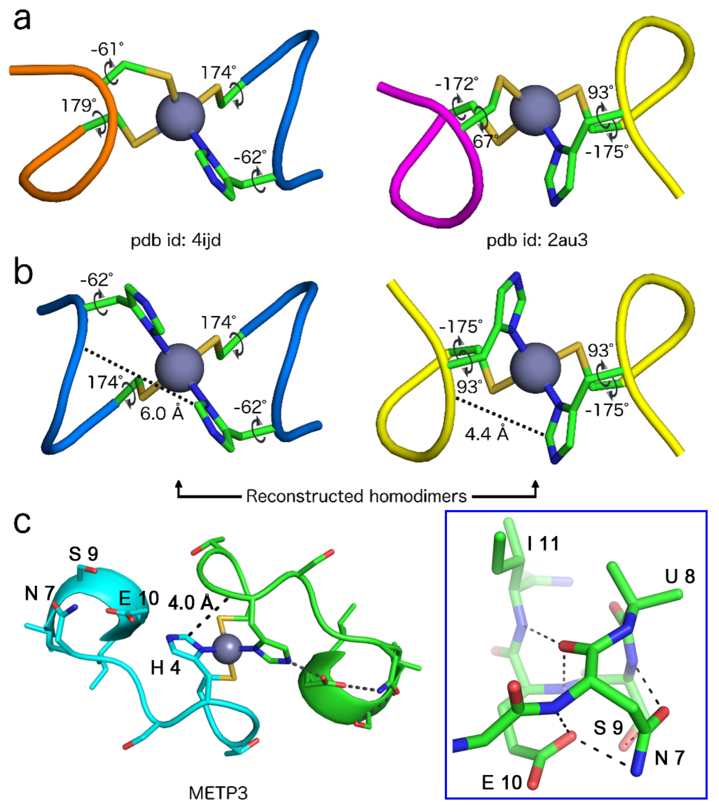 Molecules 26 05221 g009