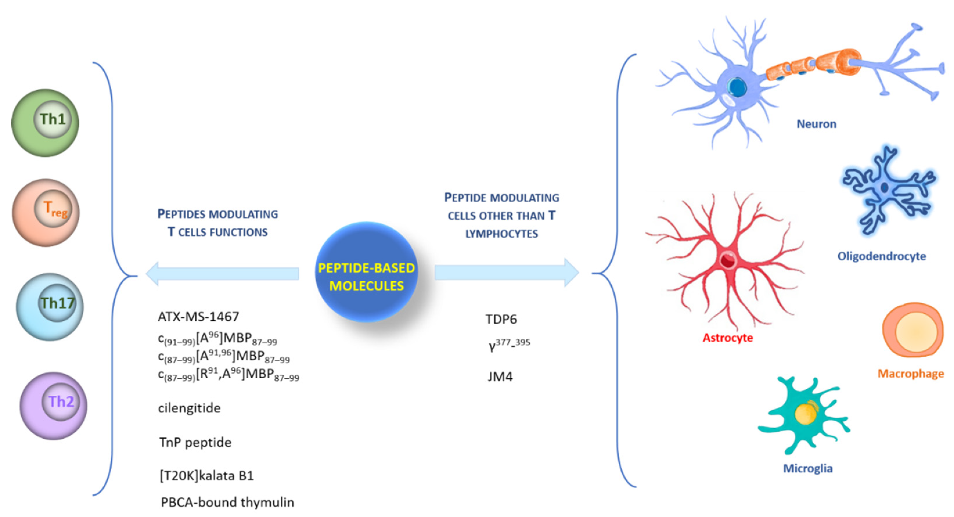 Molecules 26 05227 g001 Molecules 26 05227 g001