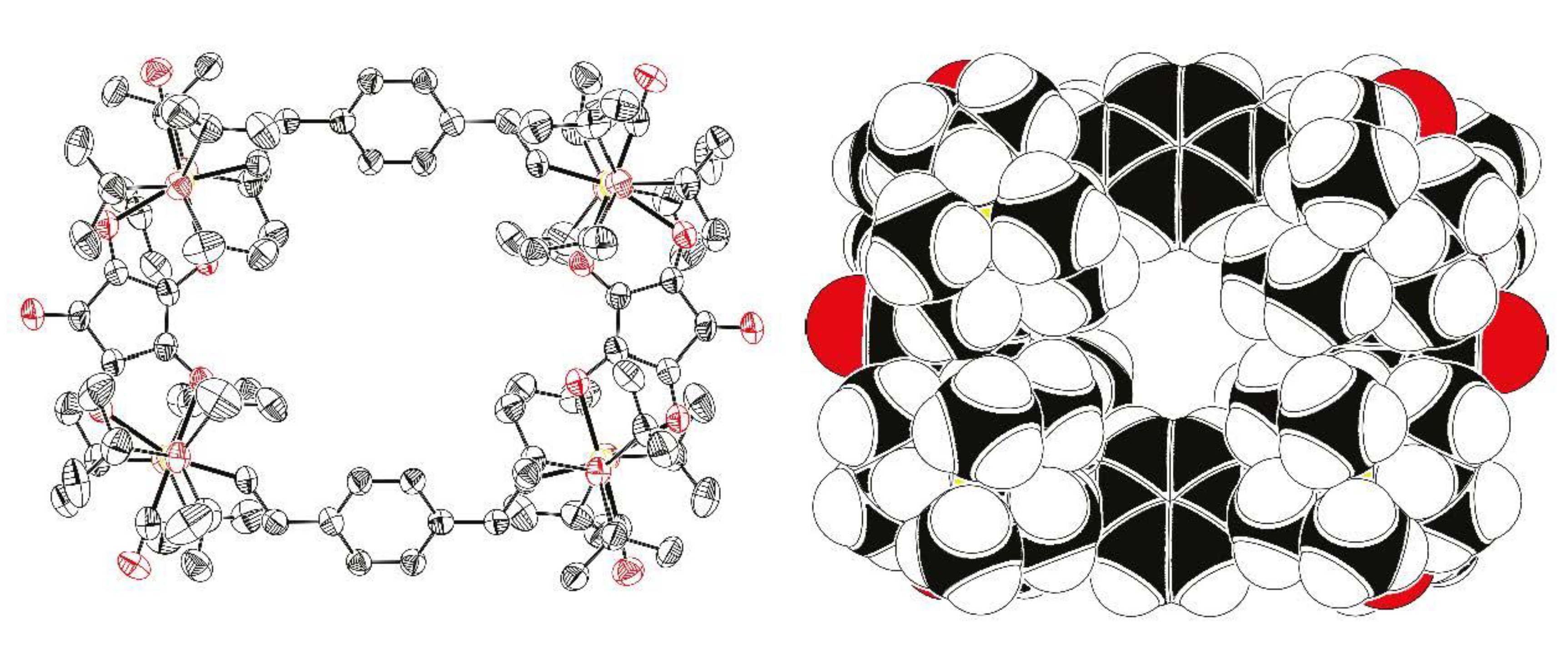 Molecules 26 05232 g005