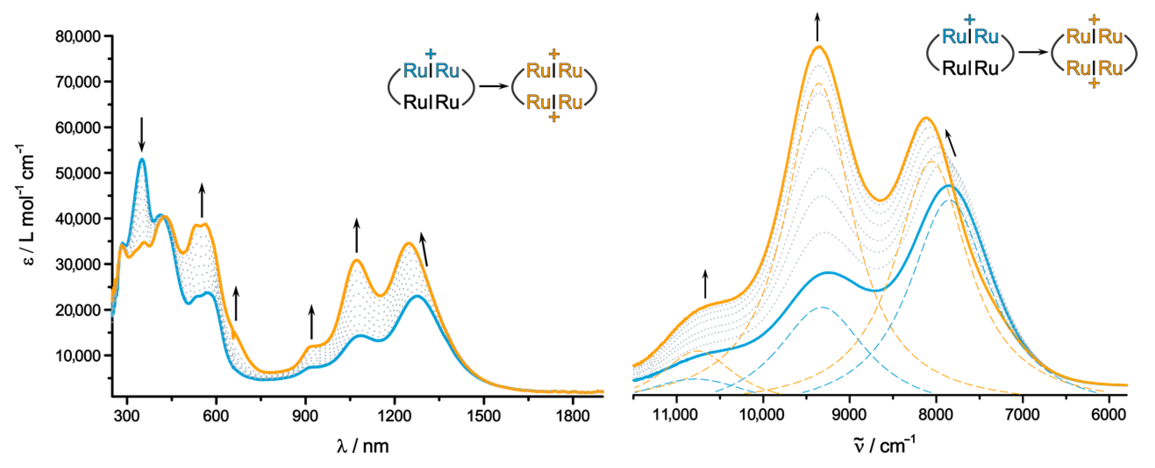 Molecules 26 05232 g010