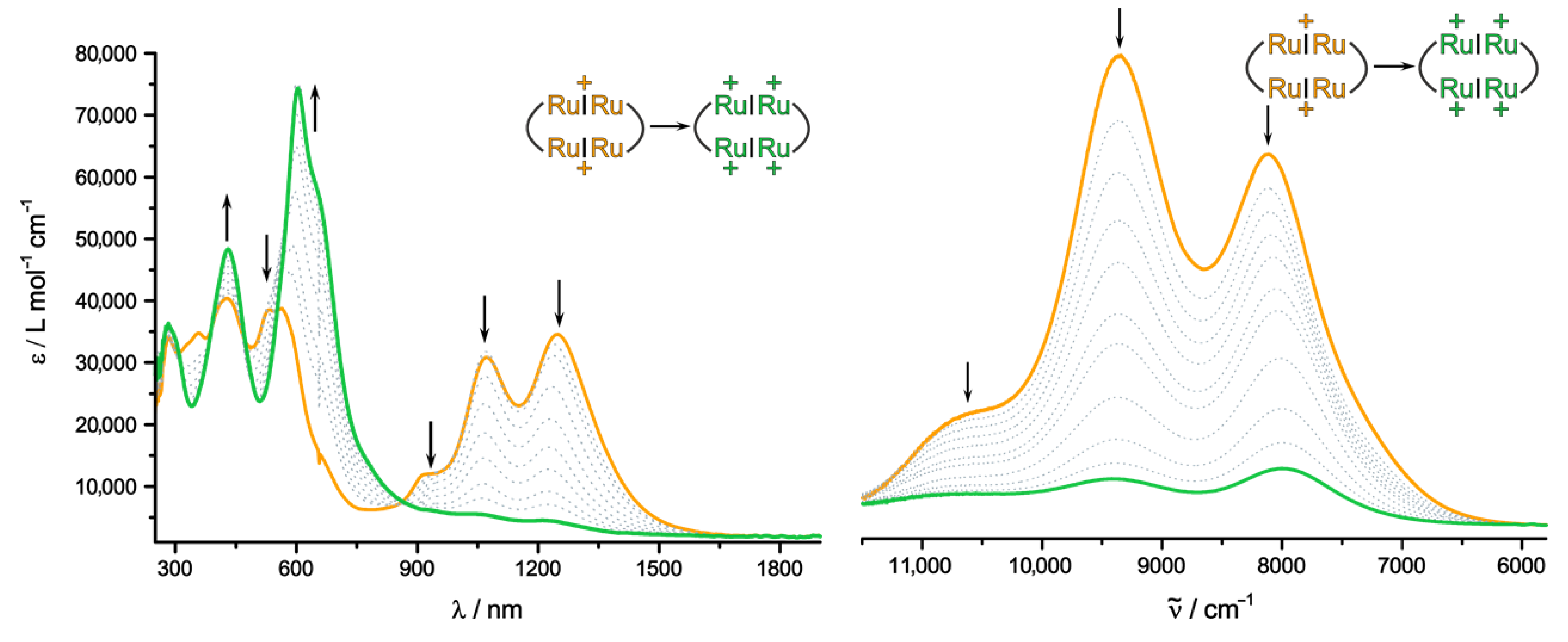 Molecules 26 05232 g011