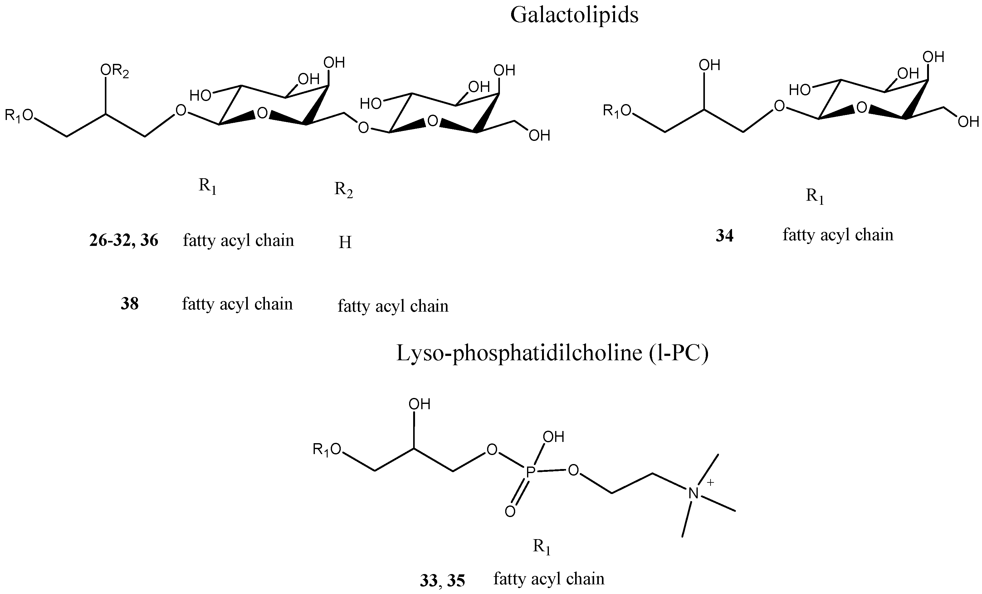 Molecules 26 05236 g003