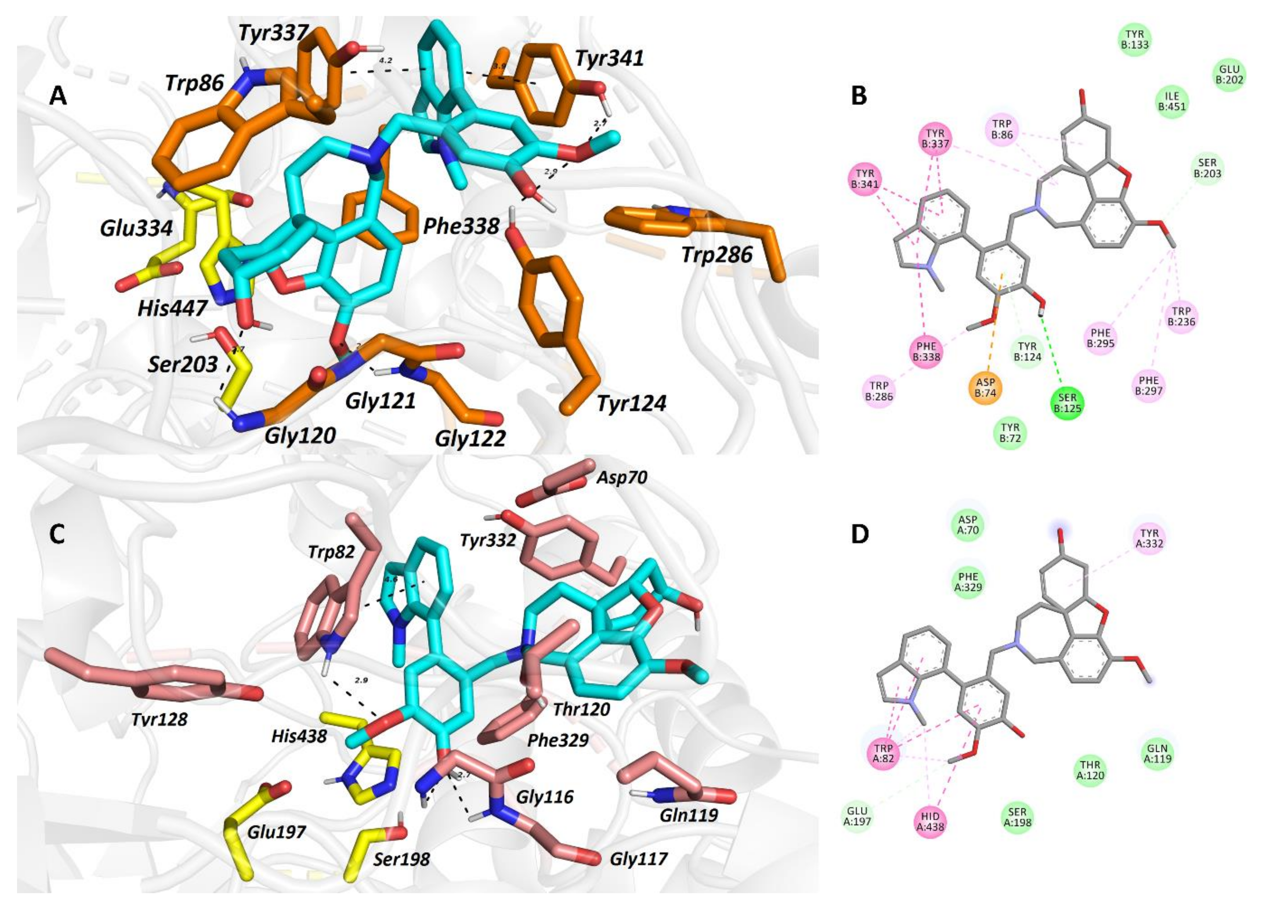 Molecules 26 05240 g002