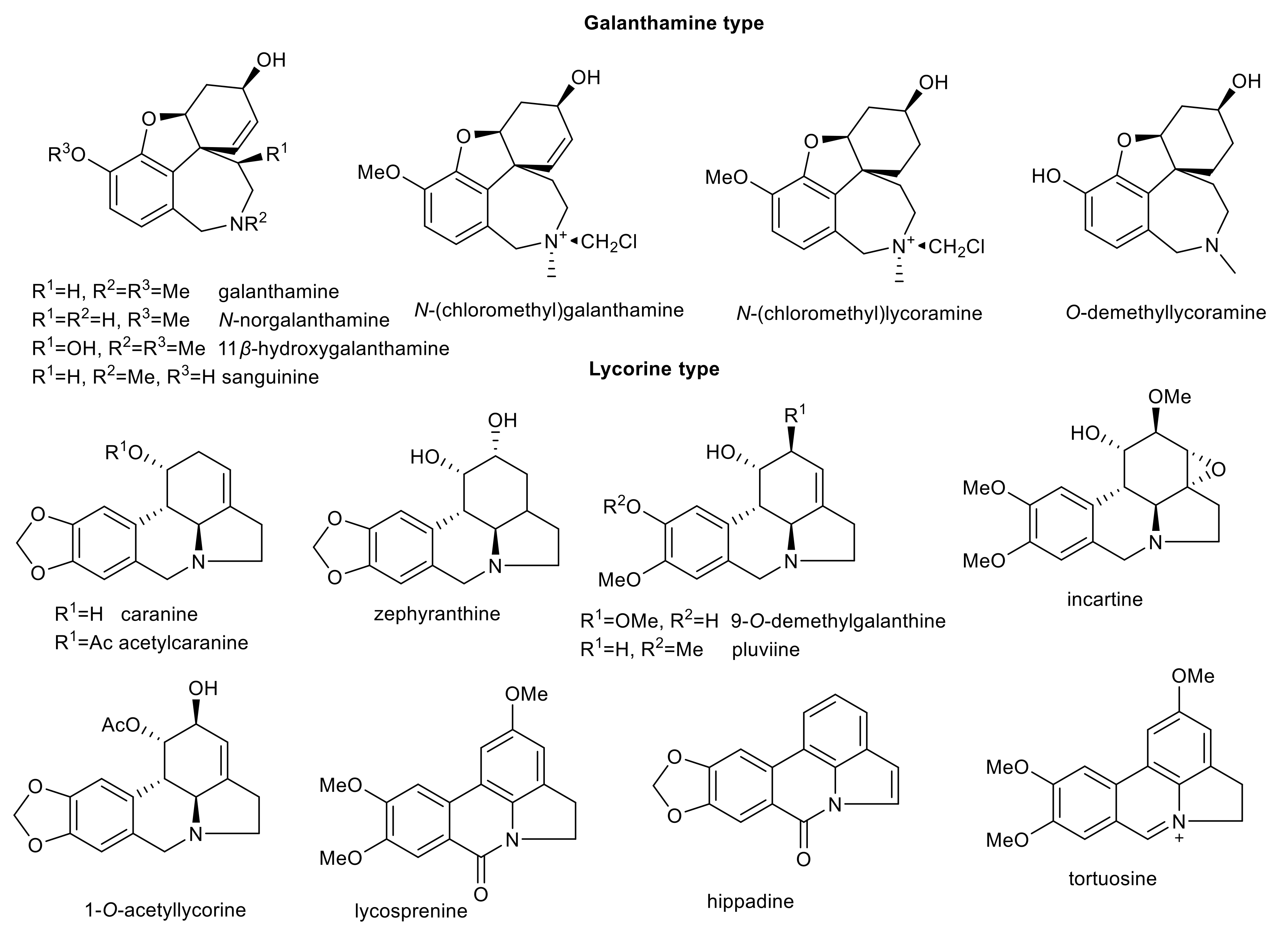 Molecules 26 05240 g004