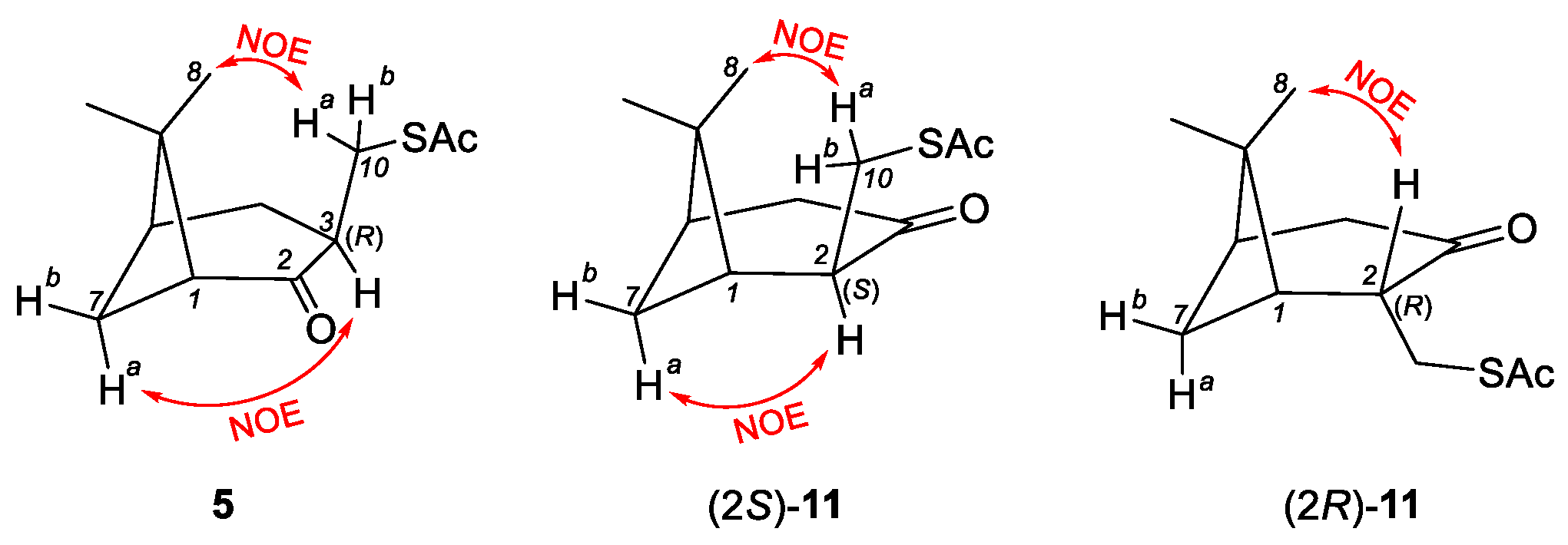 Molecules 26 05245 g001