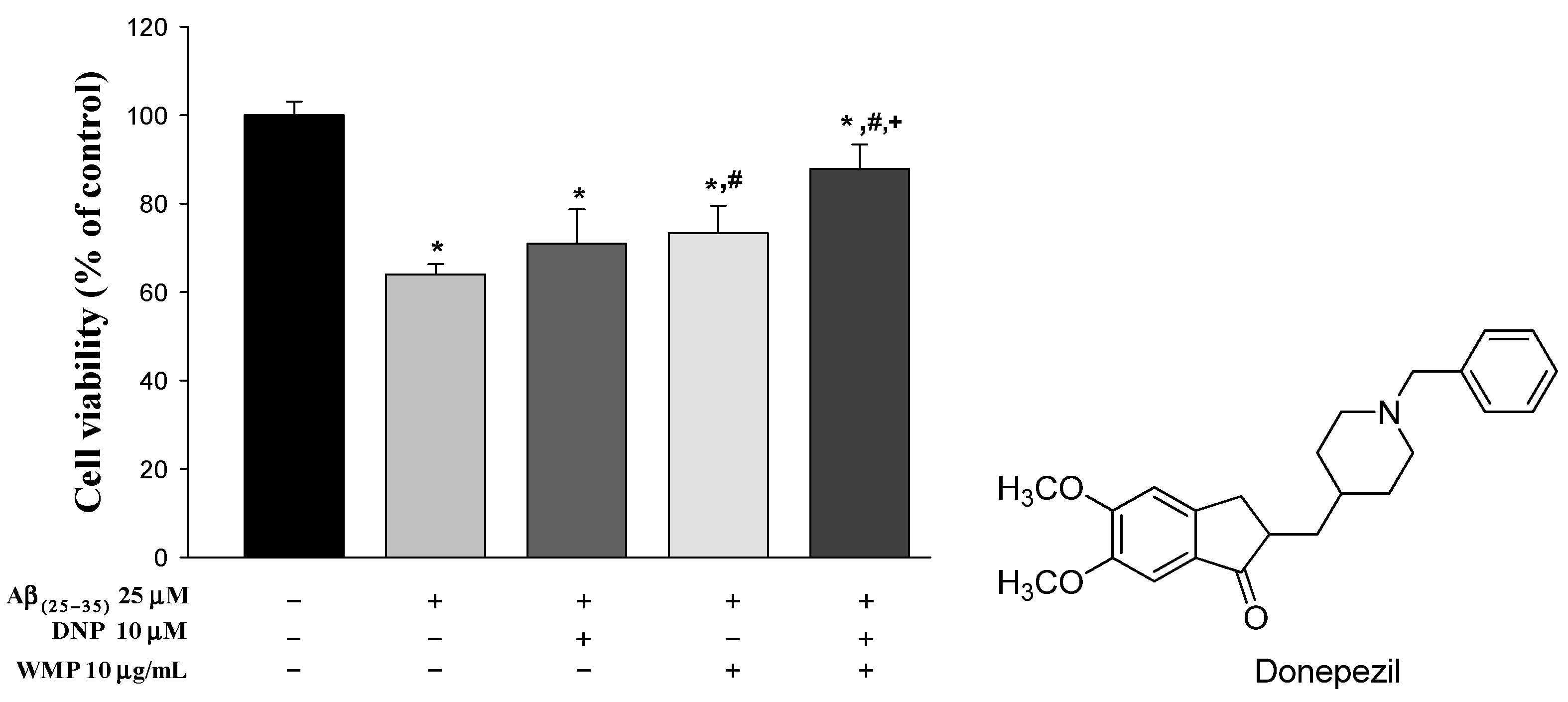 Molecules 26 05246 g001