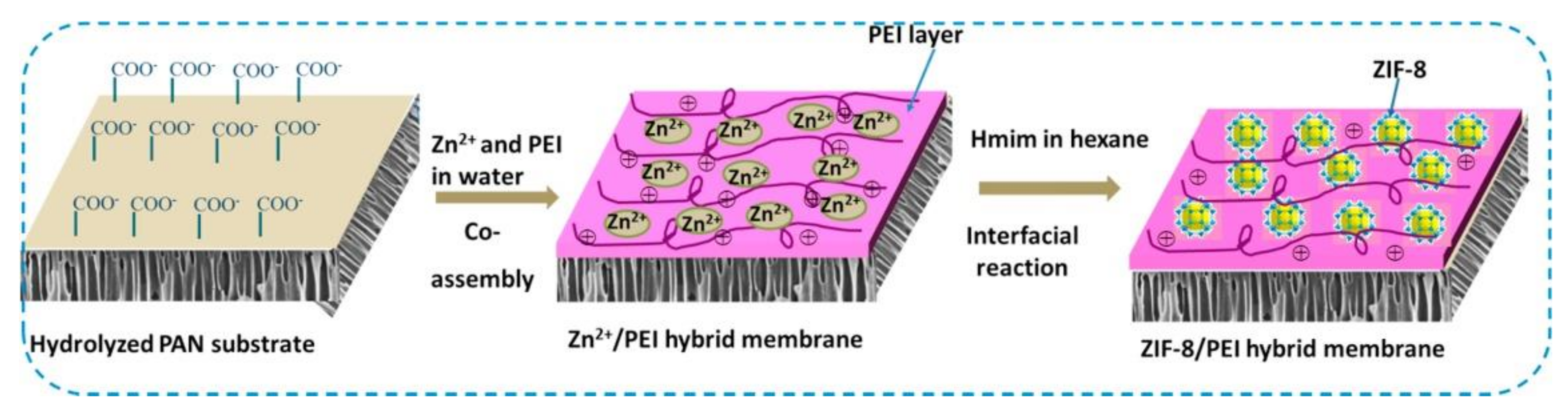 Molecules 26 05261 g007 Molecules 26 05261 g007