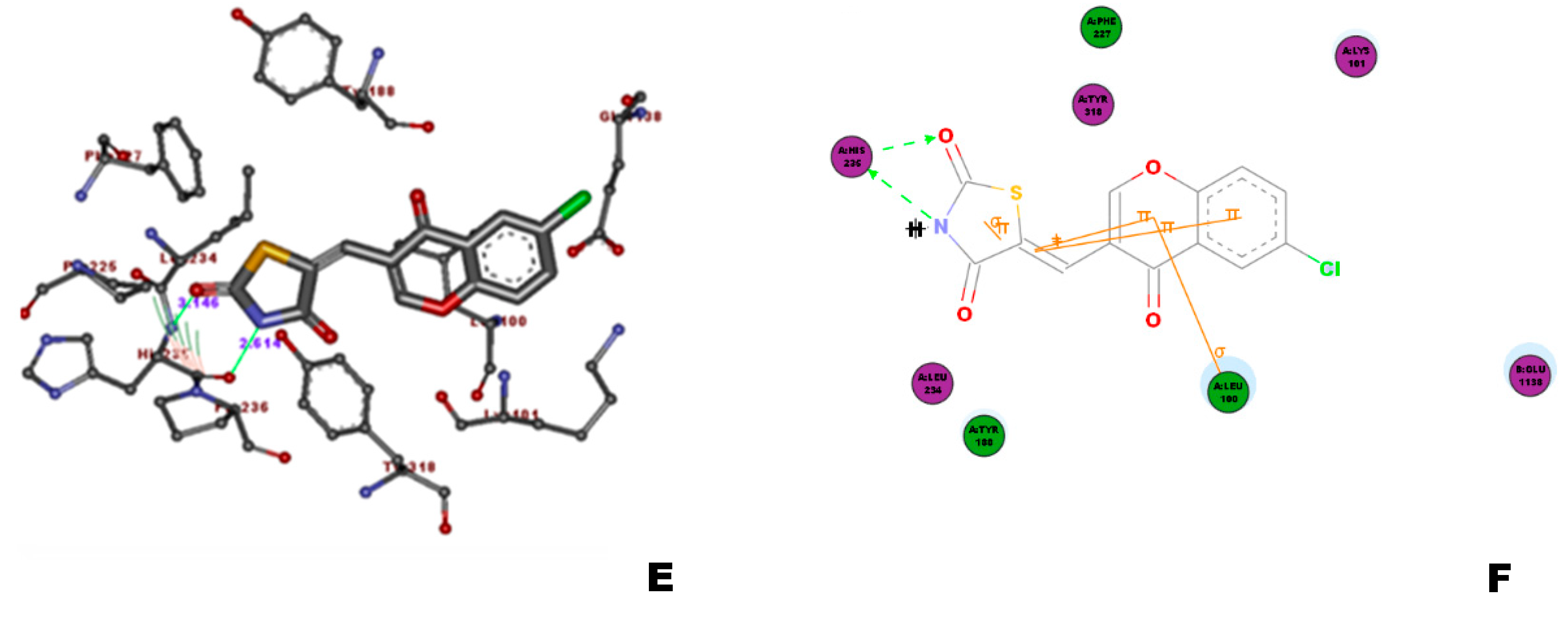 Molecules 26 05262 g007b Molecules 26 05262 g007b