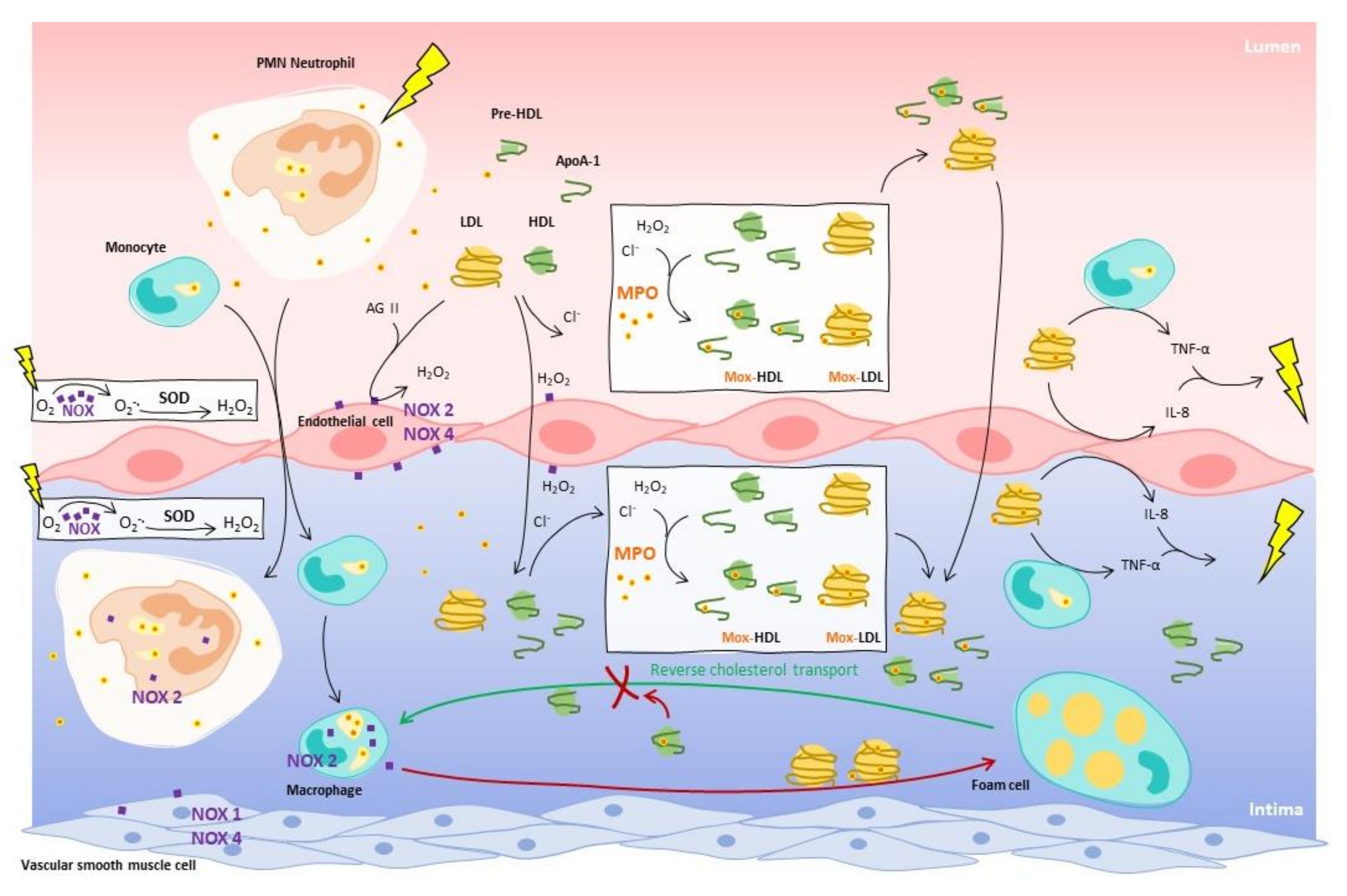 Molecules 26 05264 g001