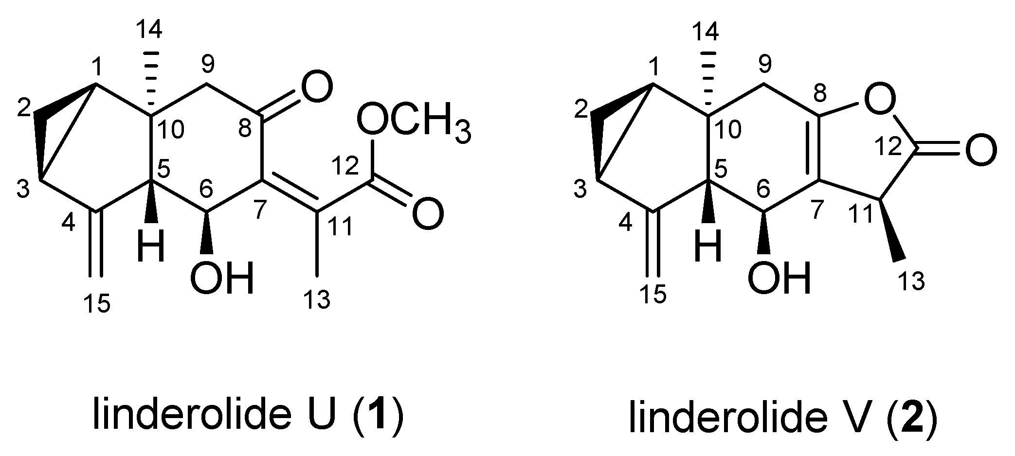 Molecules 26 05269 g004