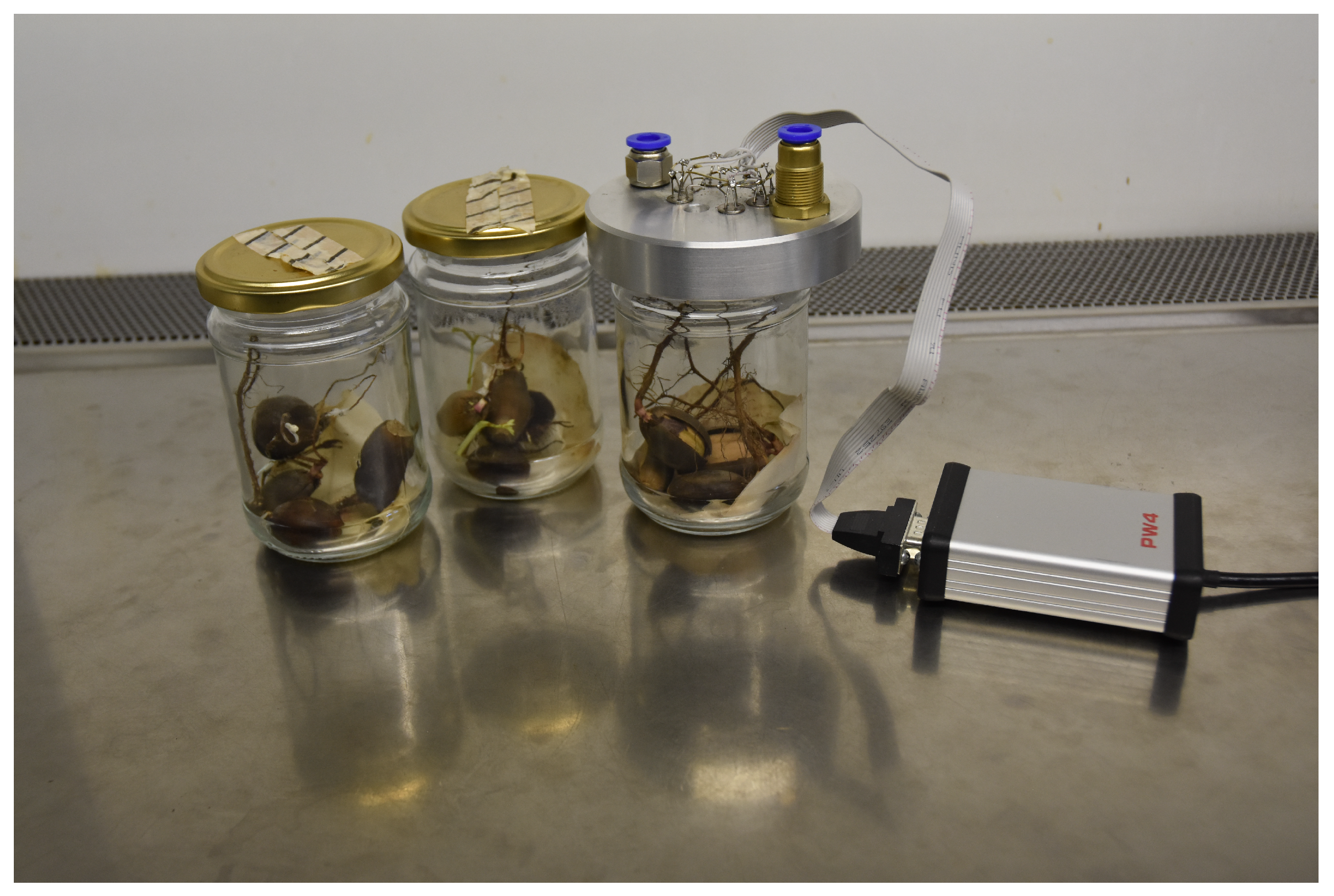 Molecules 26 05272 g003