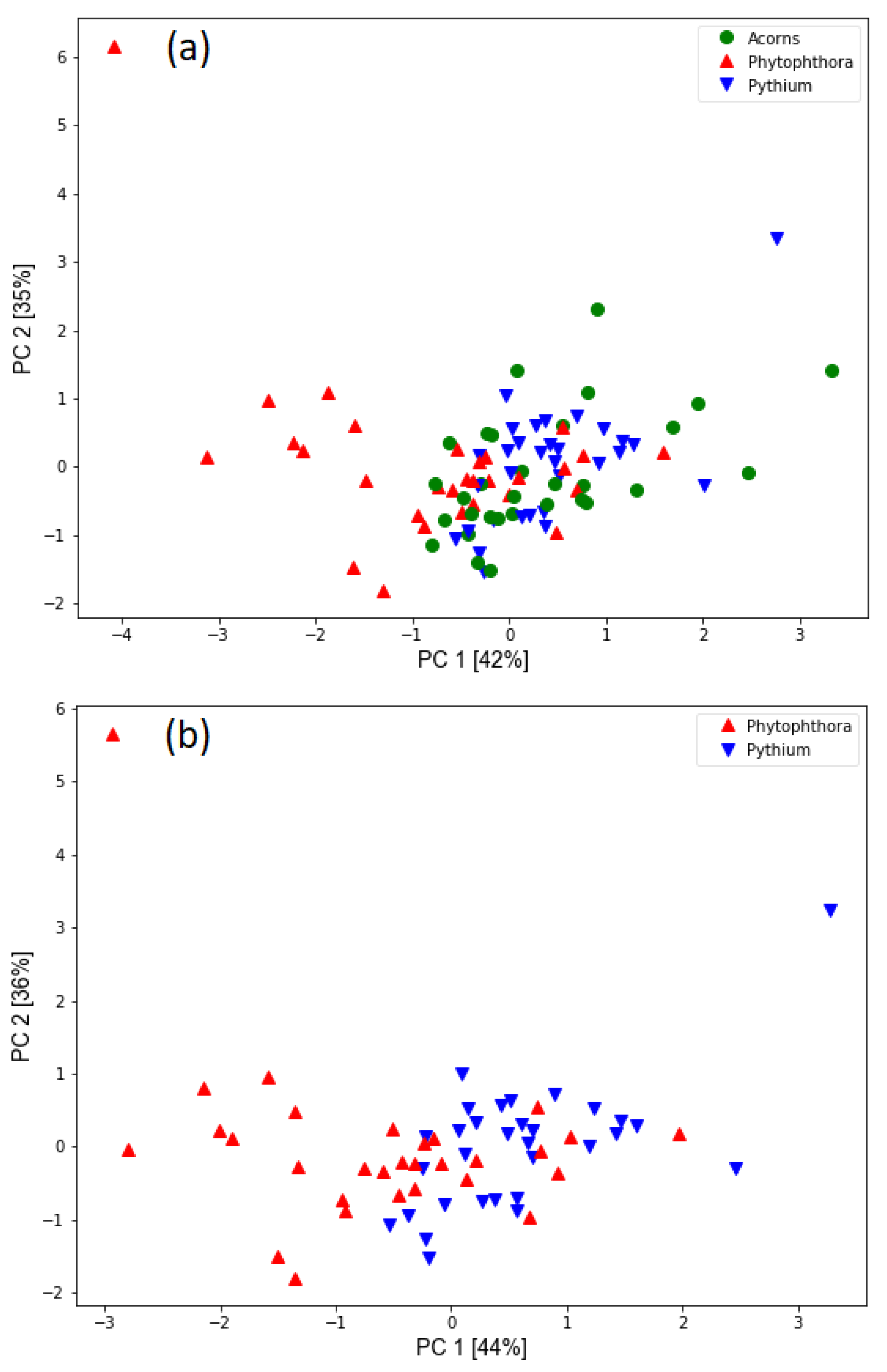 Molecules 26 05272 g005