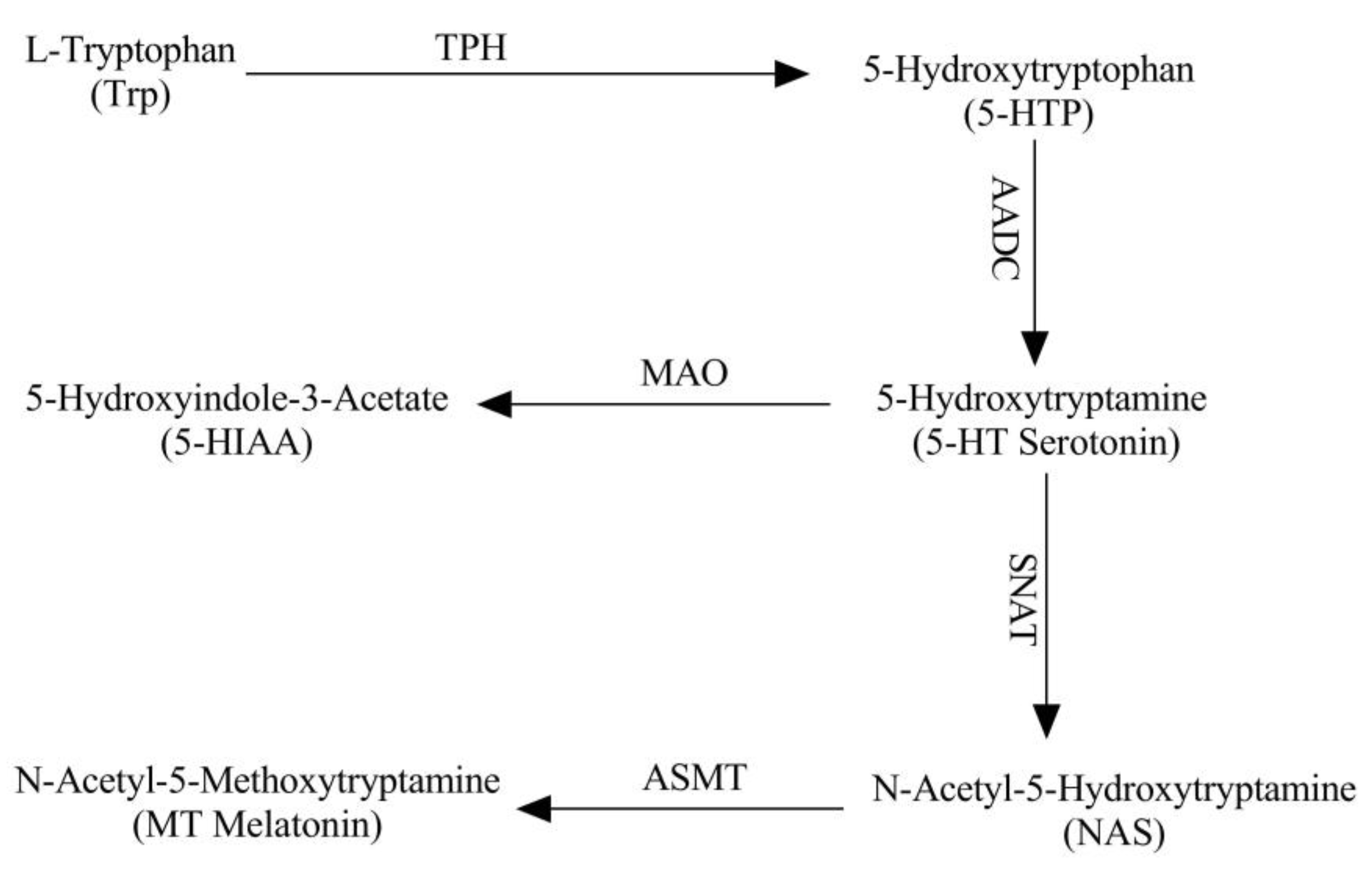 Molecules 26 05275 g001