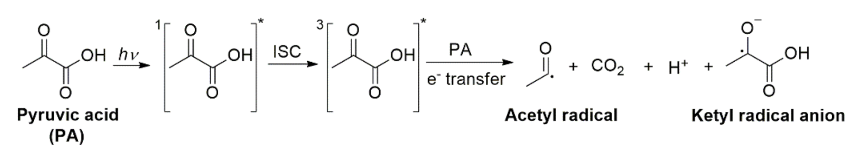 Molecules 26 05278 sch007