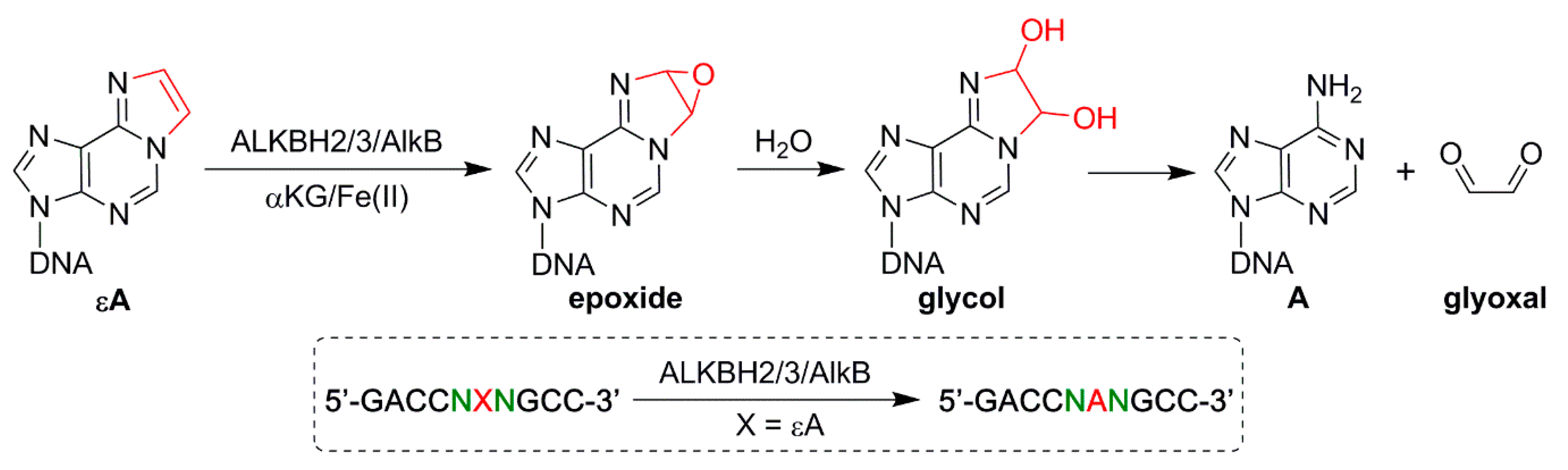 Molecules 26 05285 g001