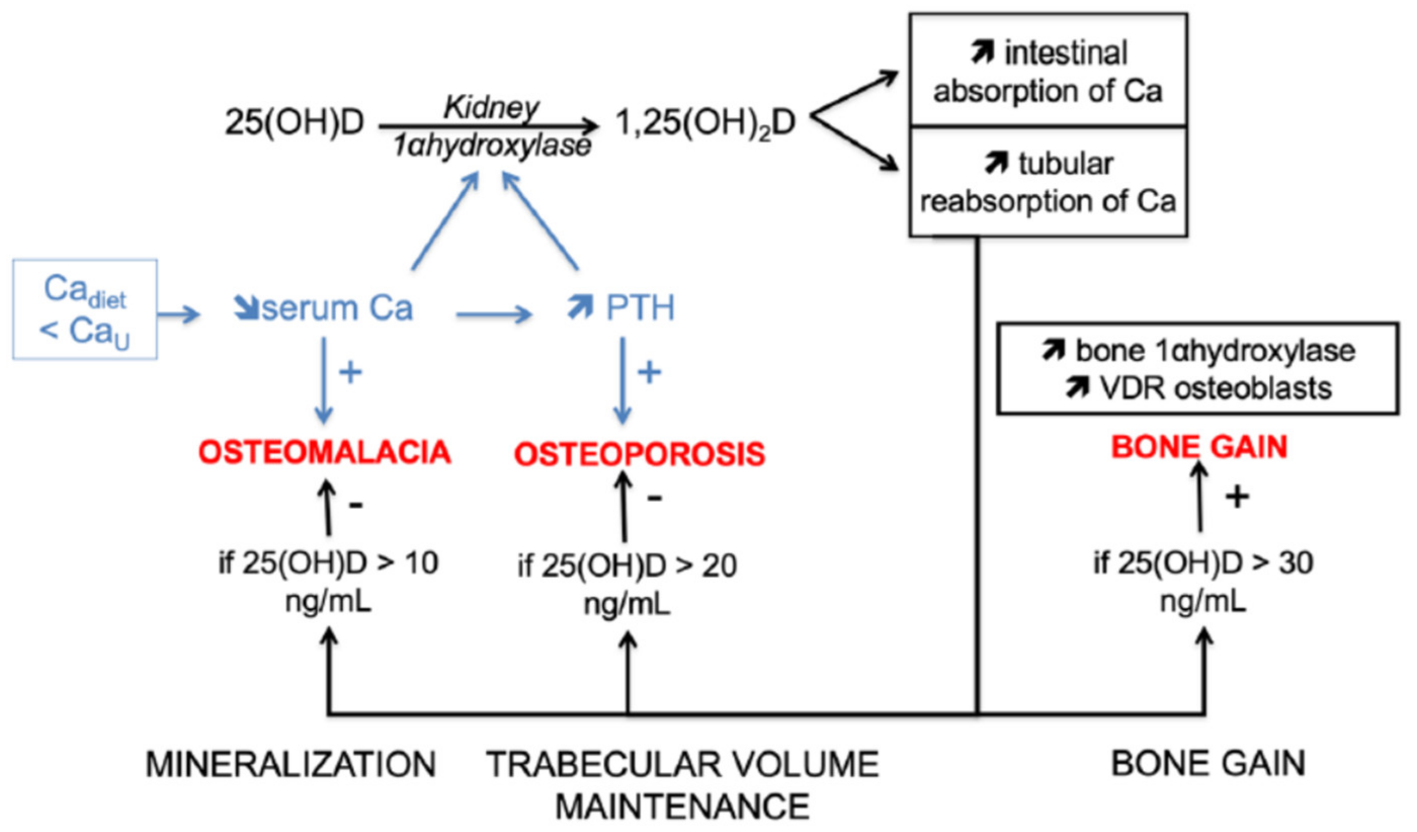 Molecules 26 05289 g001