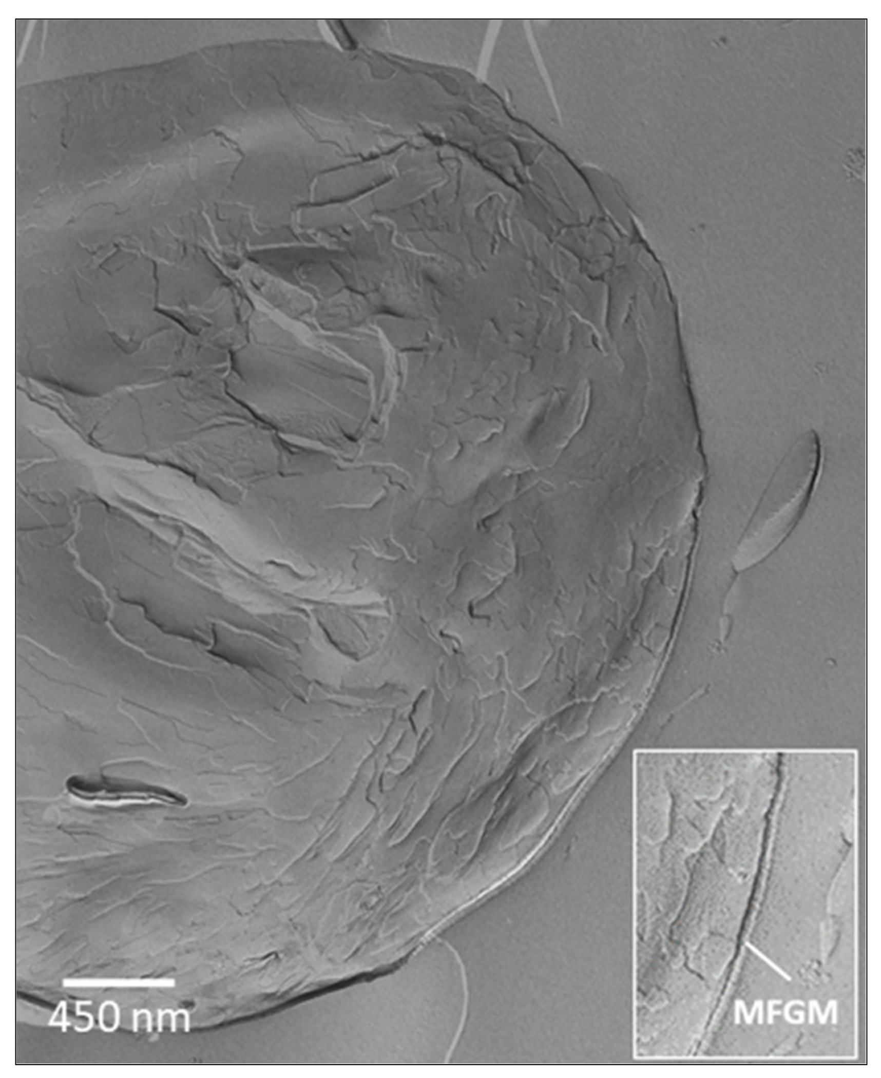 Molecules 26 05289 g004