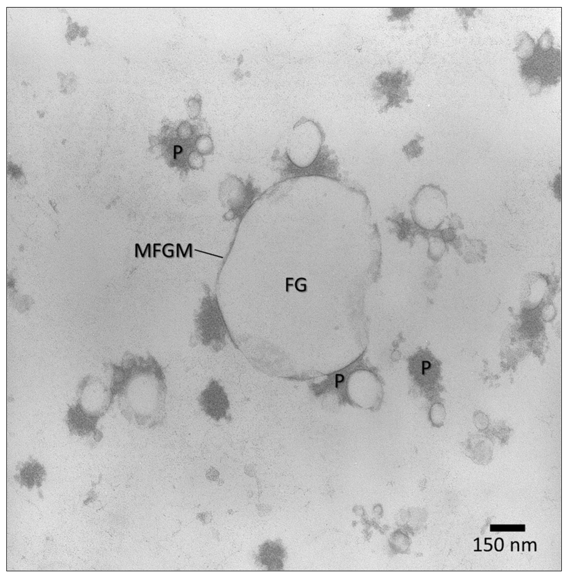 Molecules 26 05289 g005