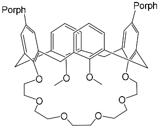 Molecules 26 05292 i011