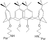 Molecules 26 05292 i021