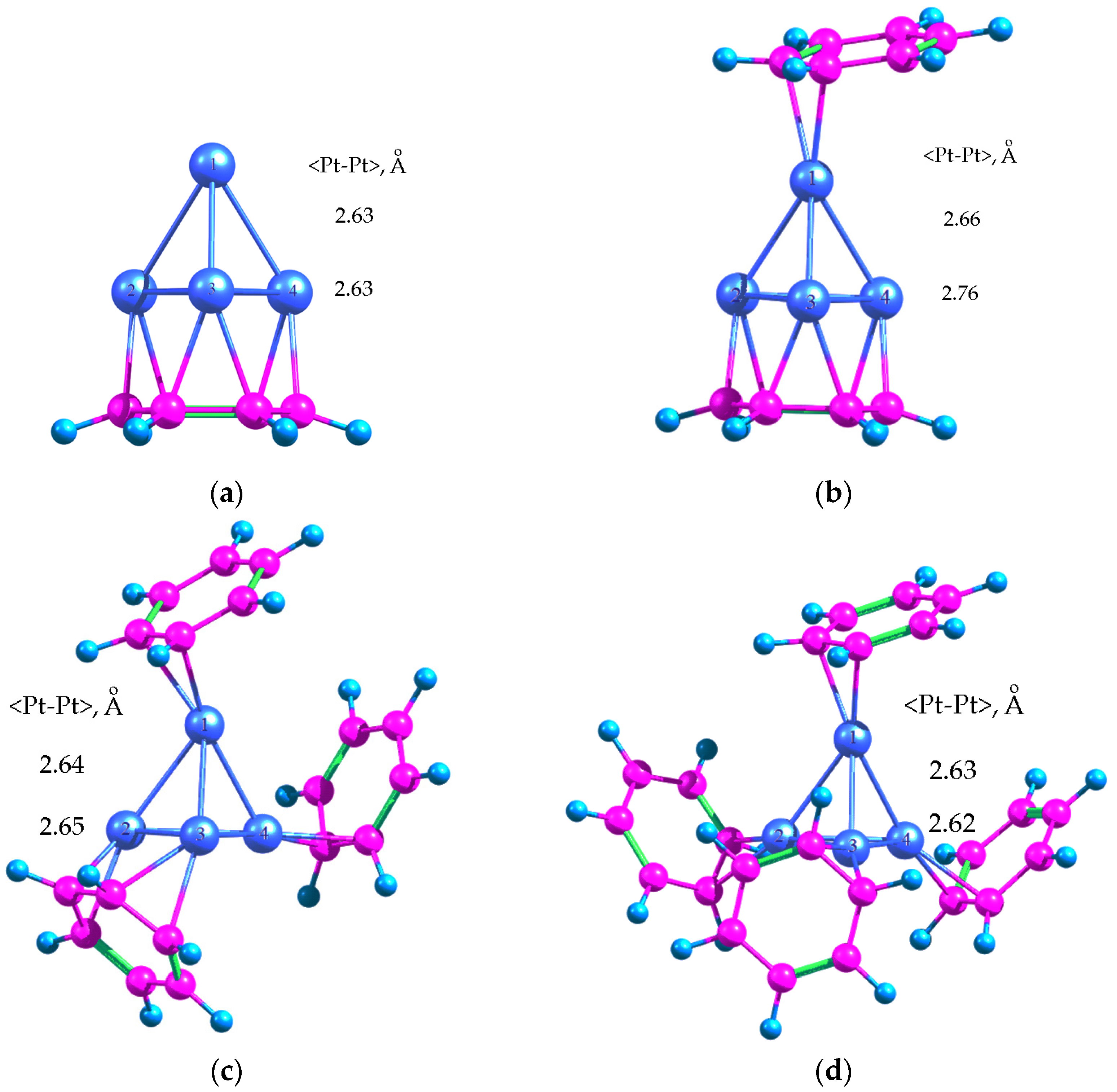 Molecules 26 05294 g008