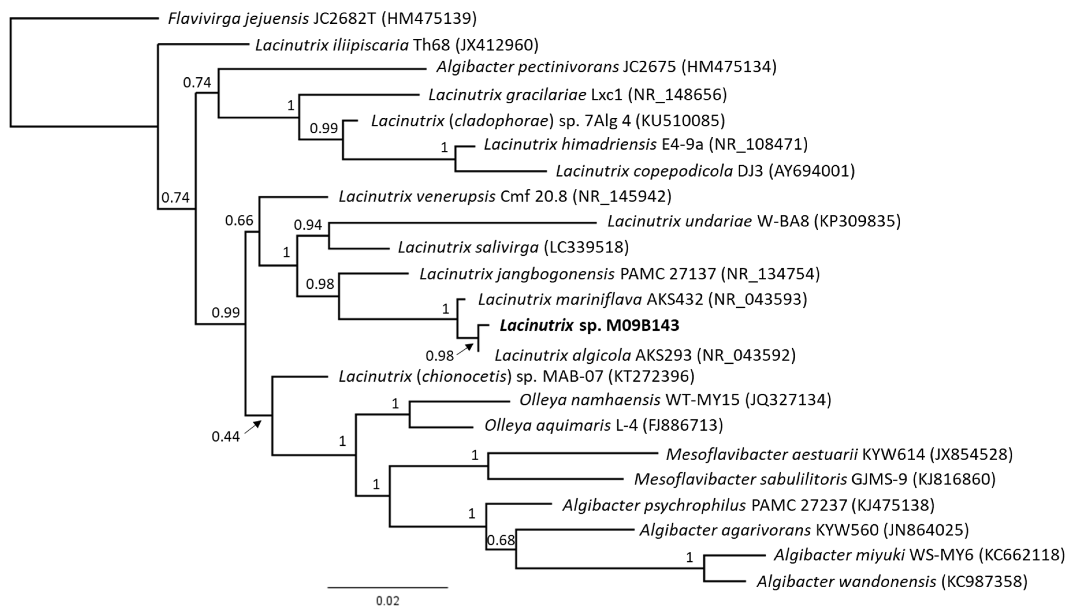 Molecules 26 05295 g001 Molecules 26 05295 g001